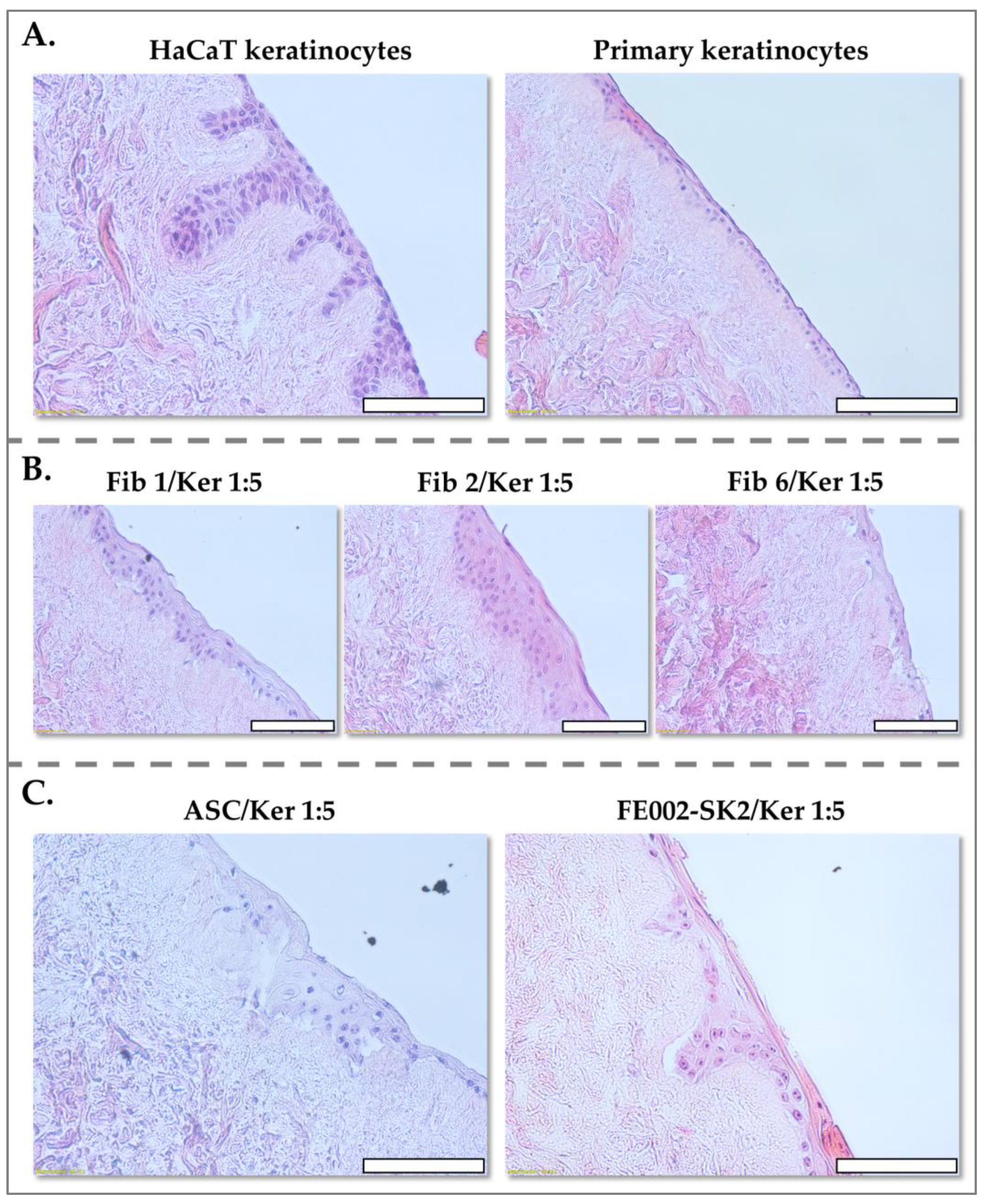 Pharmaceutics 17 00692 g008