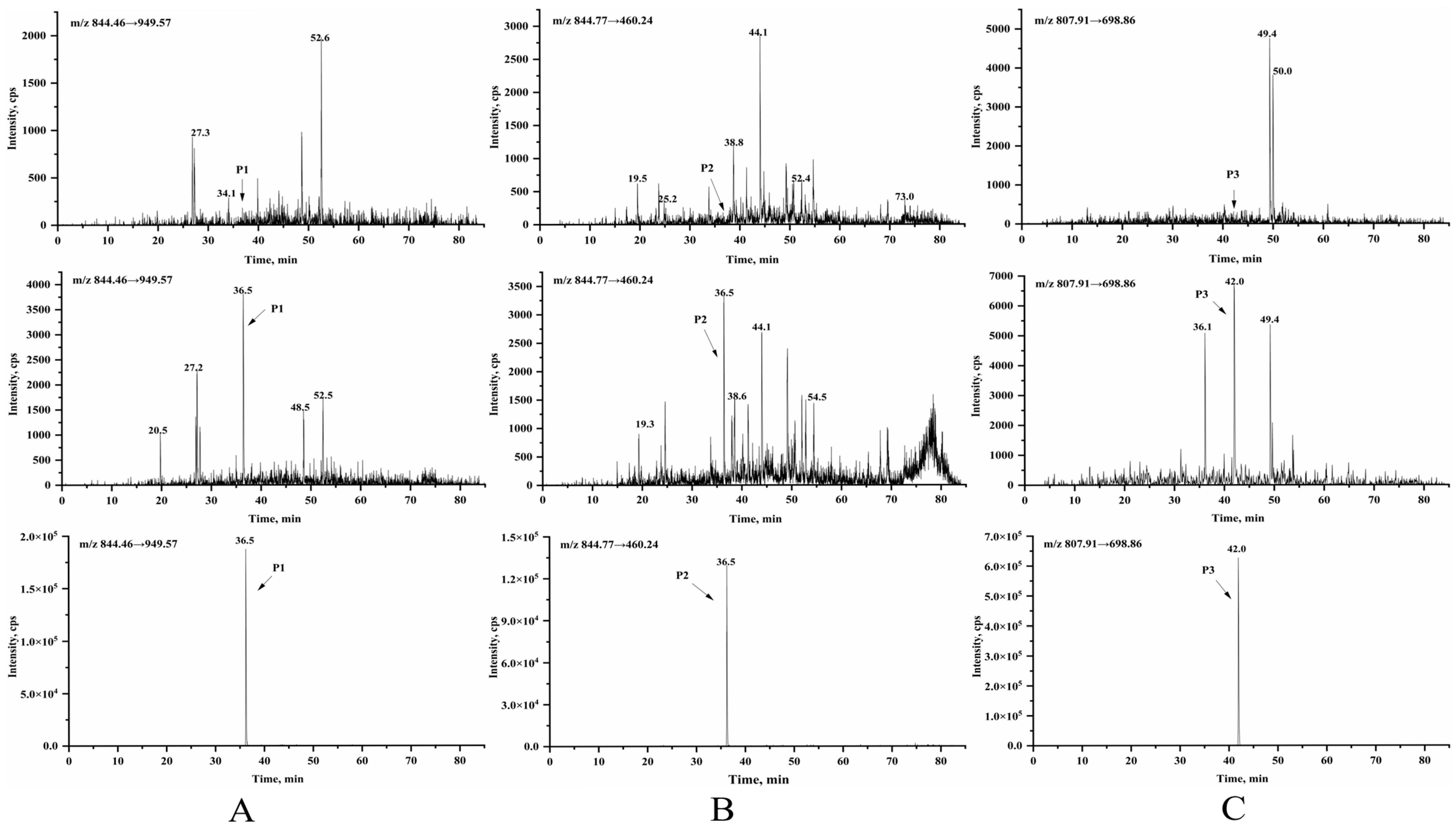 Pharmaceutics 17 00699 g002