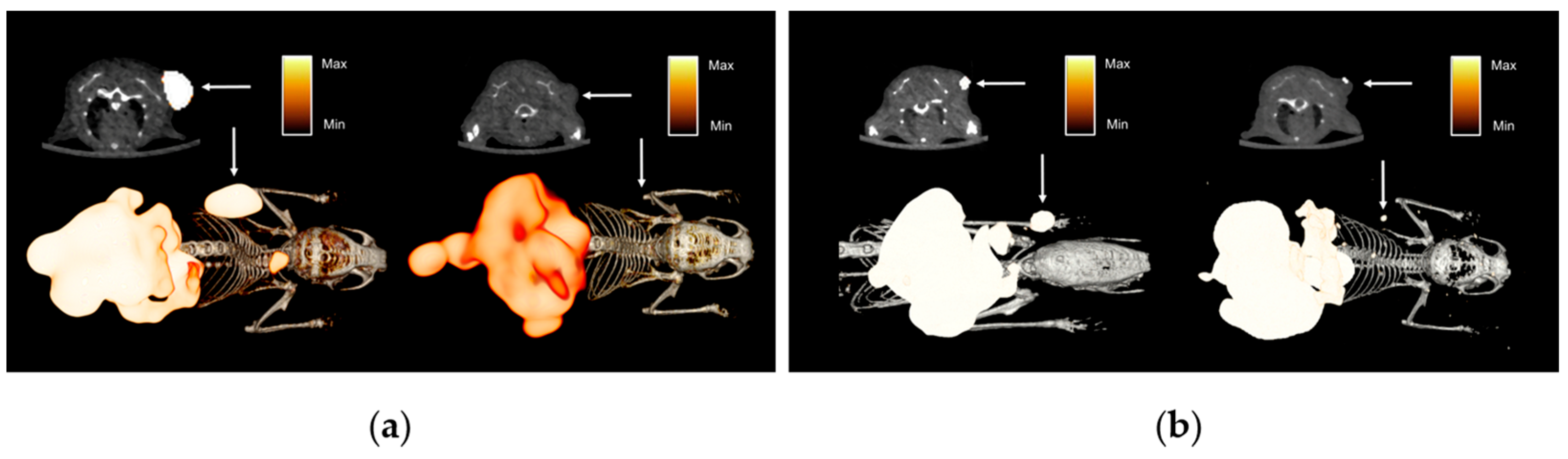 Pharmaceutics 17 00700 g004
