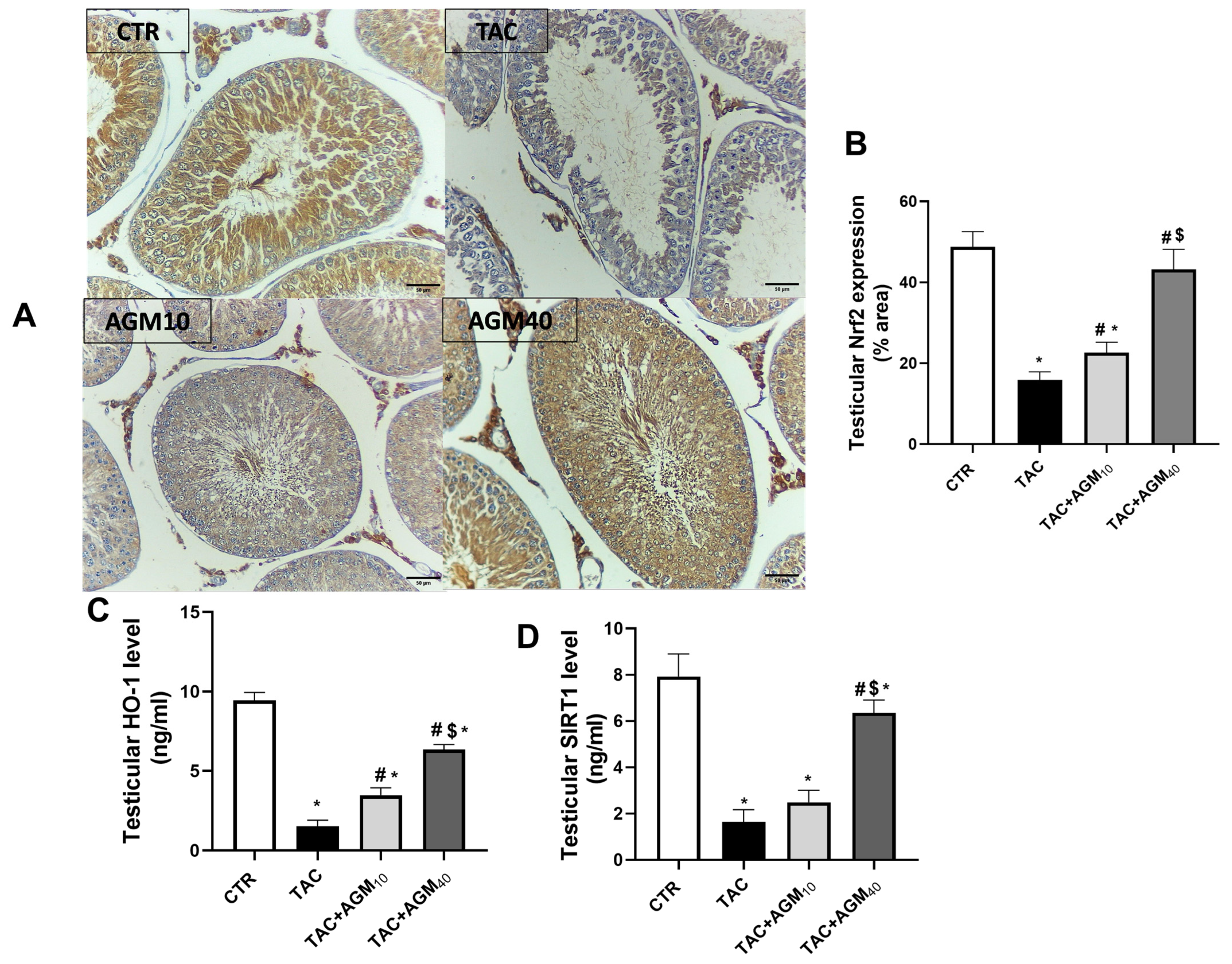 Pharmaceutics 17 00703 g004