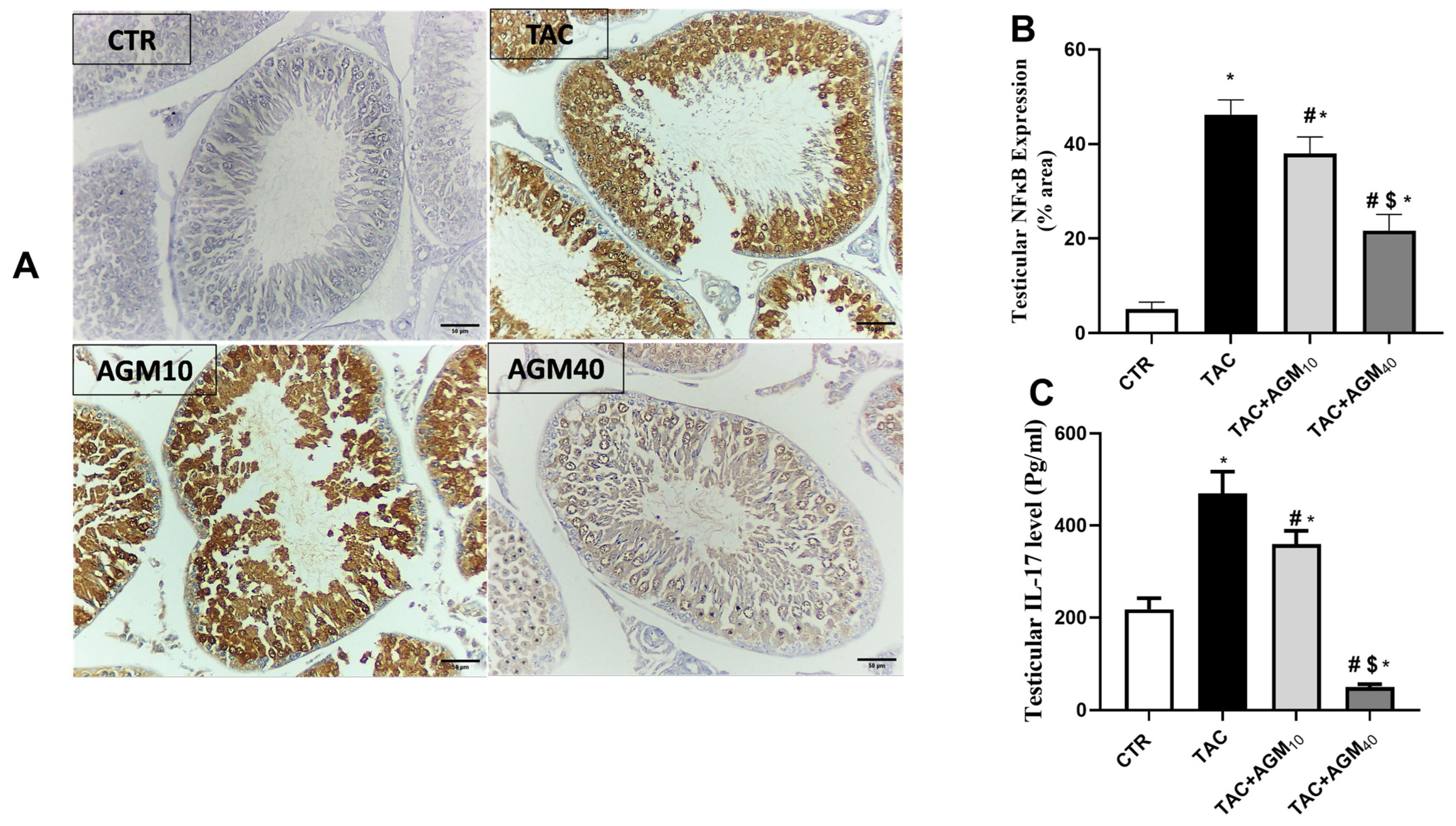 Pharmaceutics 17 00703 g005
