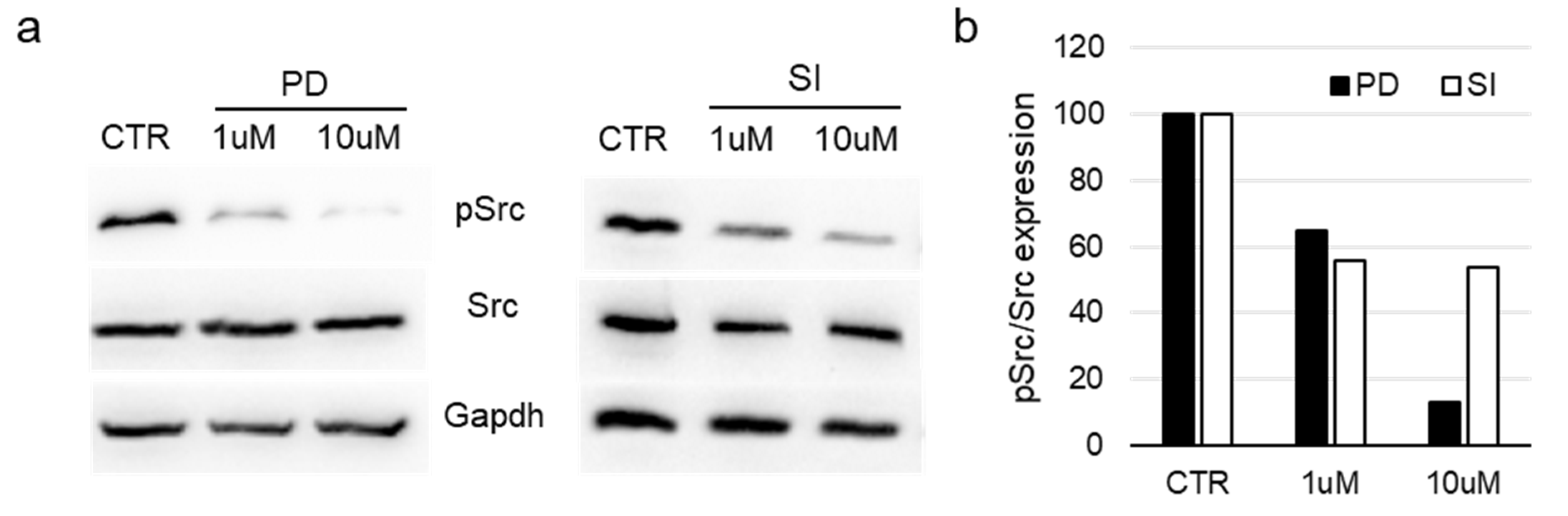 Pharmaceutics 17 00704 g005