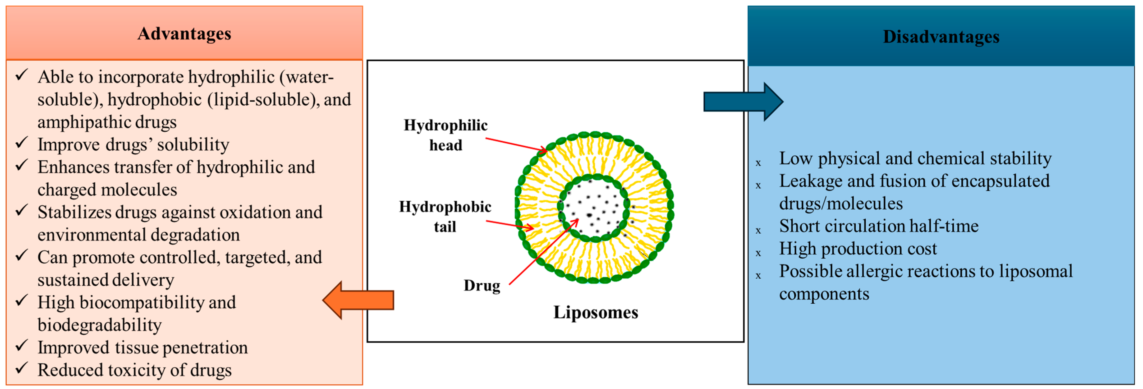 Pharmaceutics 17 00707 g004