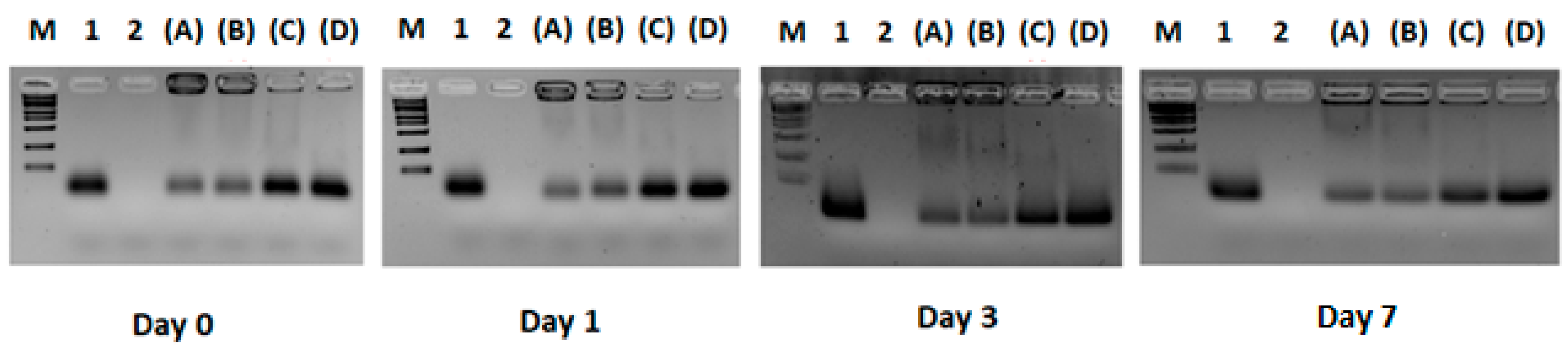 Pharmaceutics 17 00710 g001