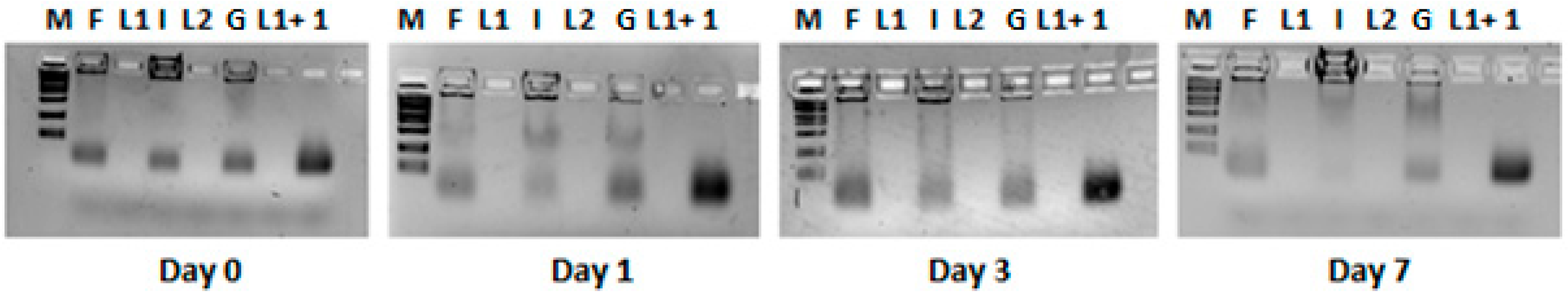 Pharmaceutics 17 00710 g006