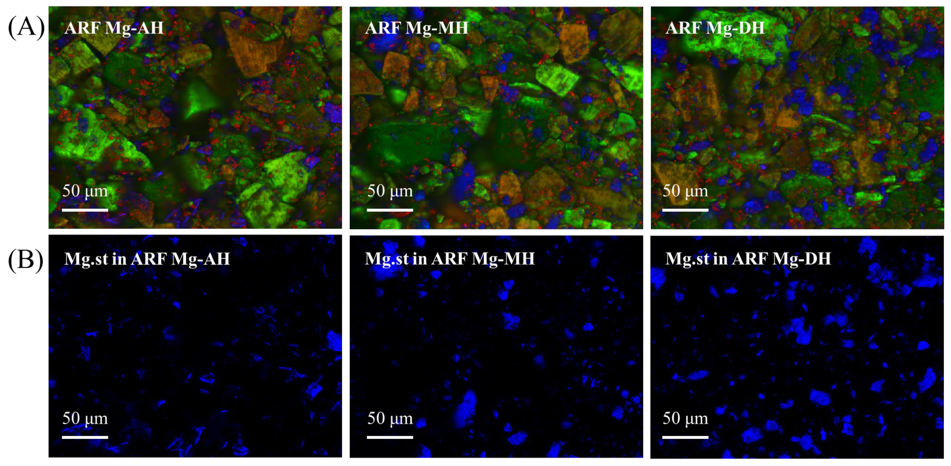 Pharmaceutics 17 00711 g005