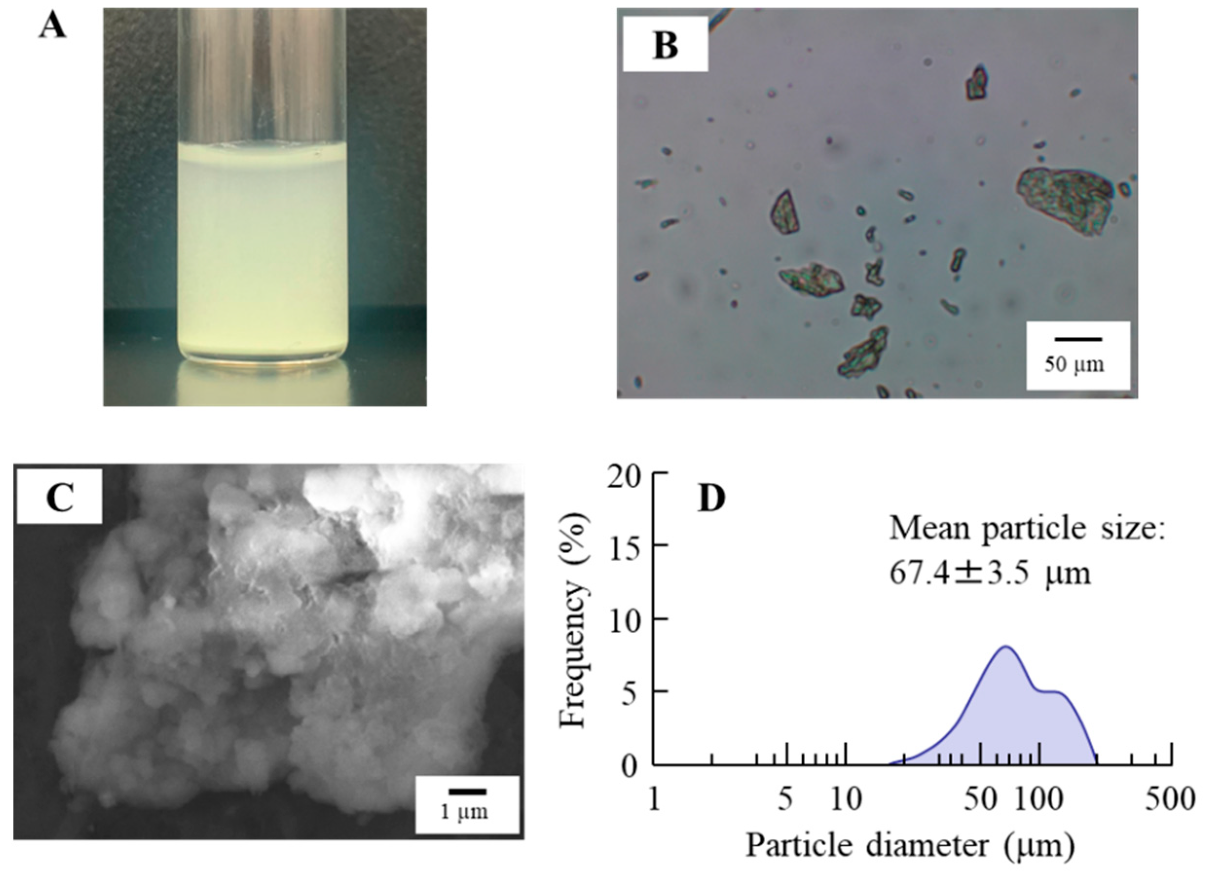 Pharmaceutics 17 00712 g001