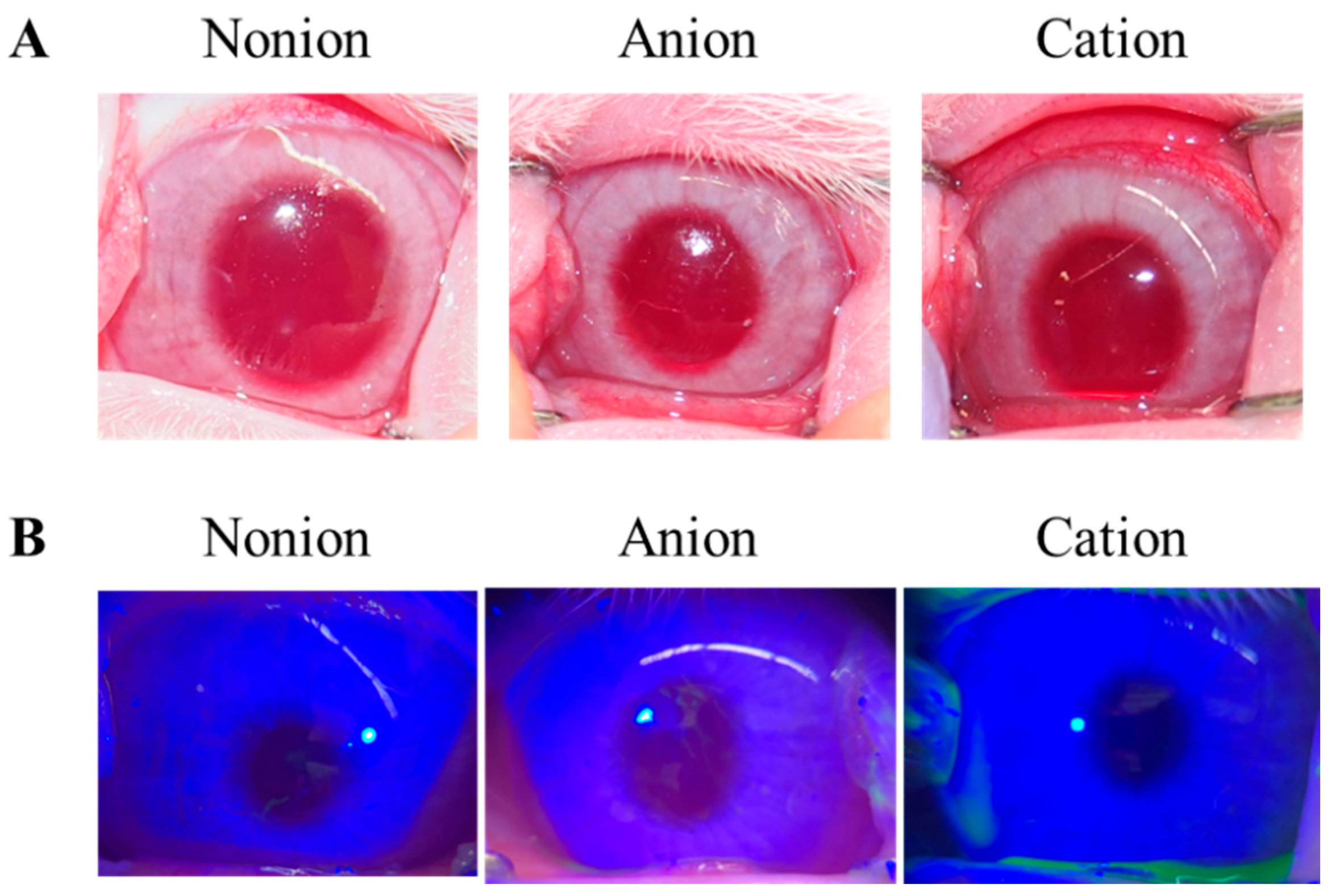 Pharmaceutics 17 00712 g005