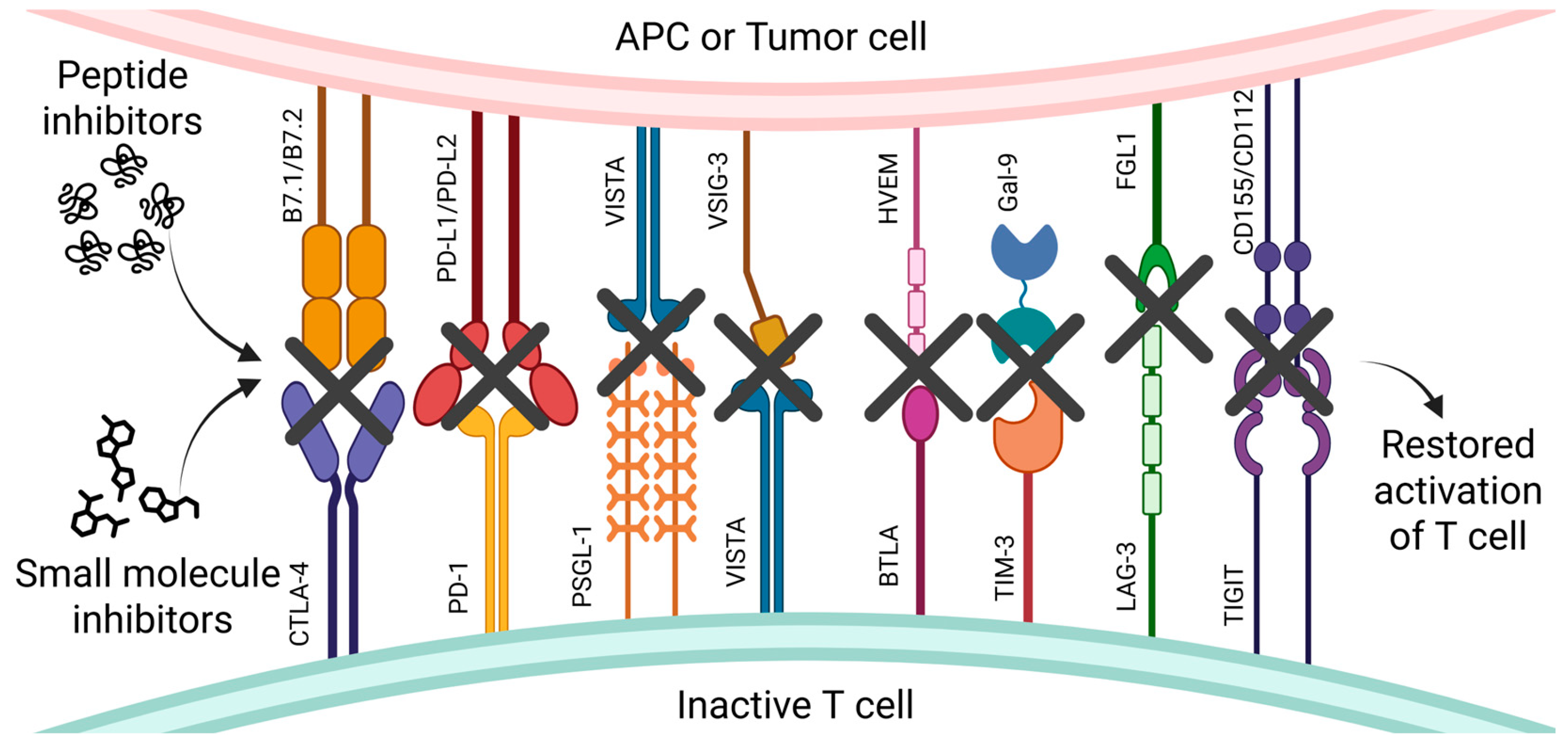 Pharmaceutics 17 00713 g001