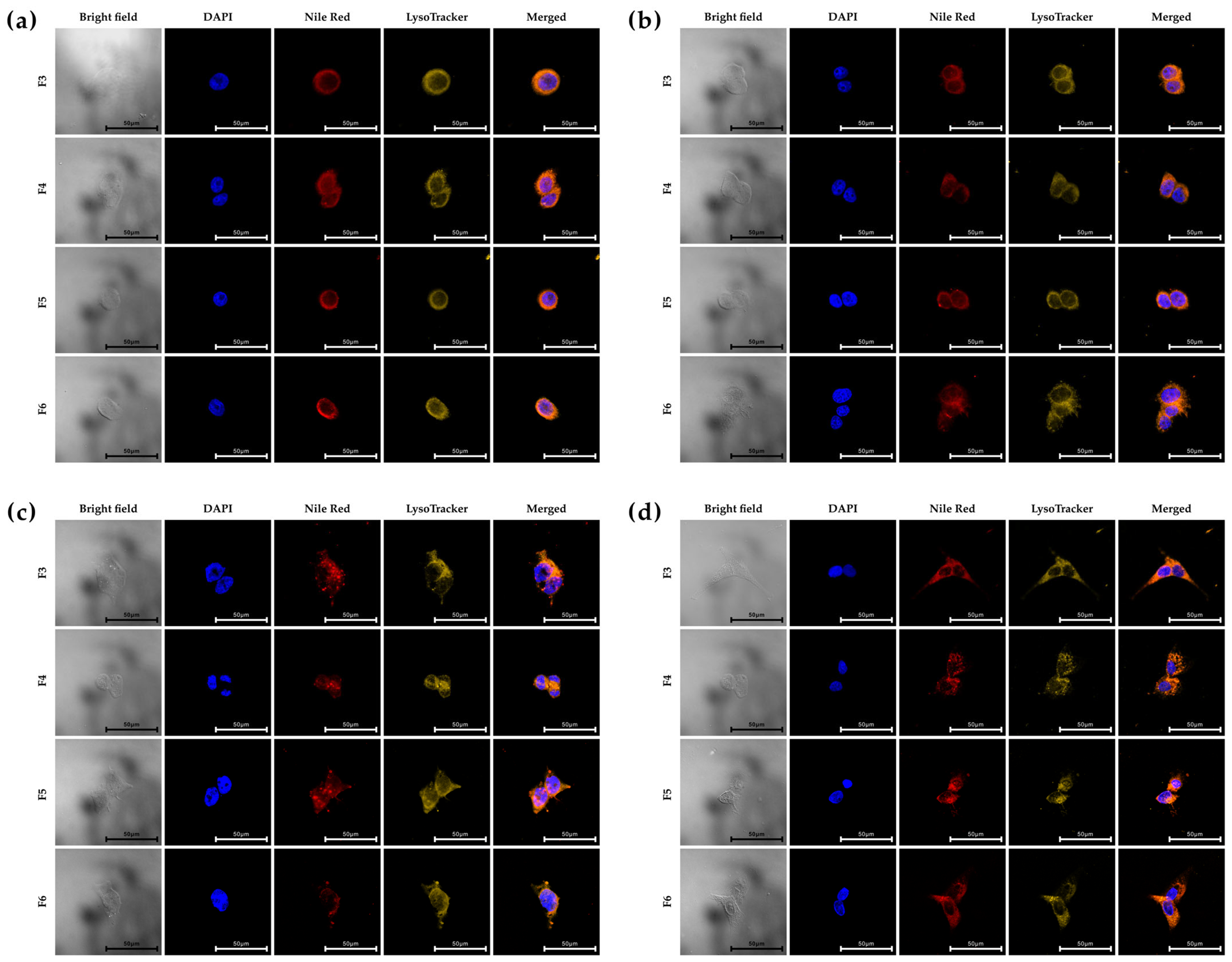 Pharmaceutics 17 00721 g002