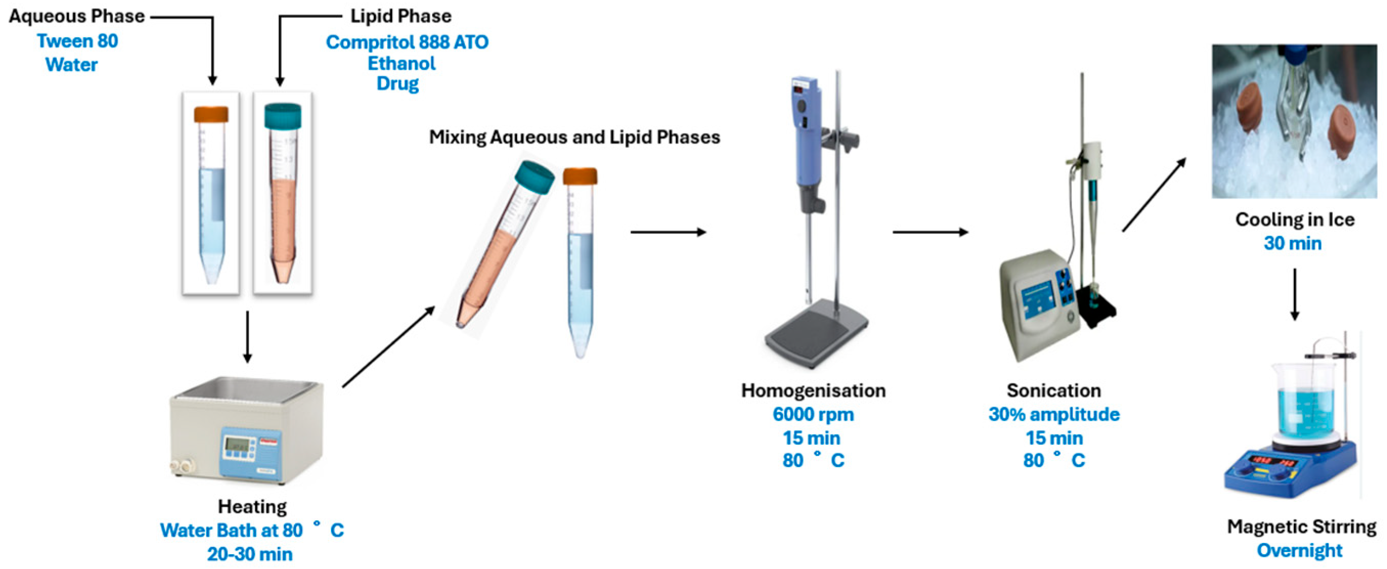 Pharmaceutics 17 00723 g002