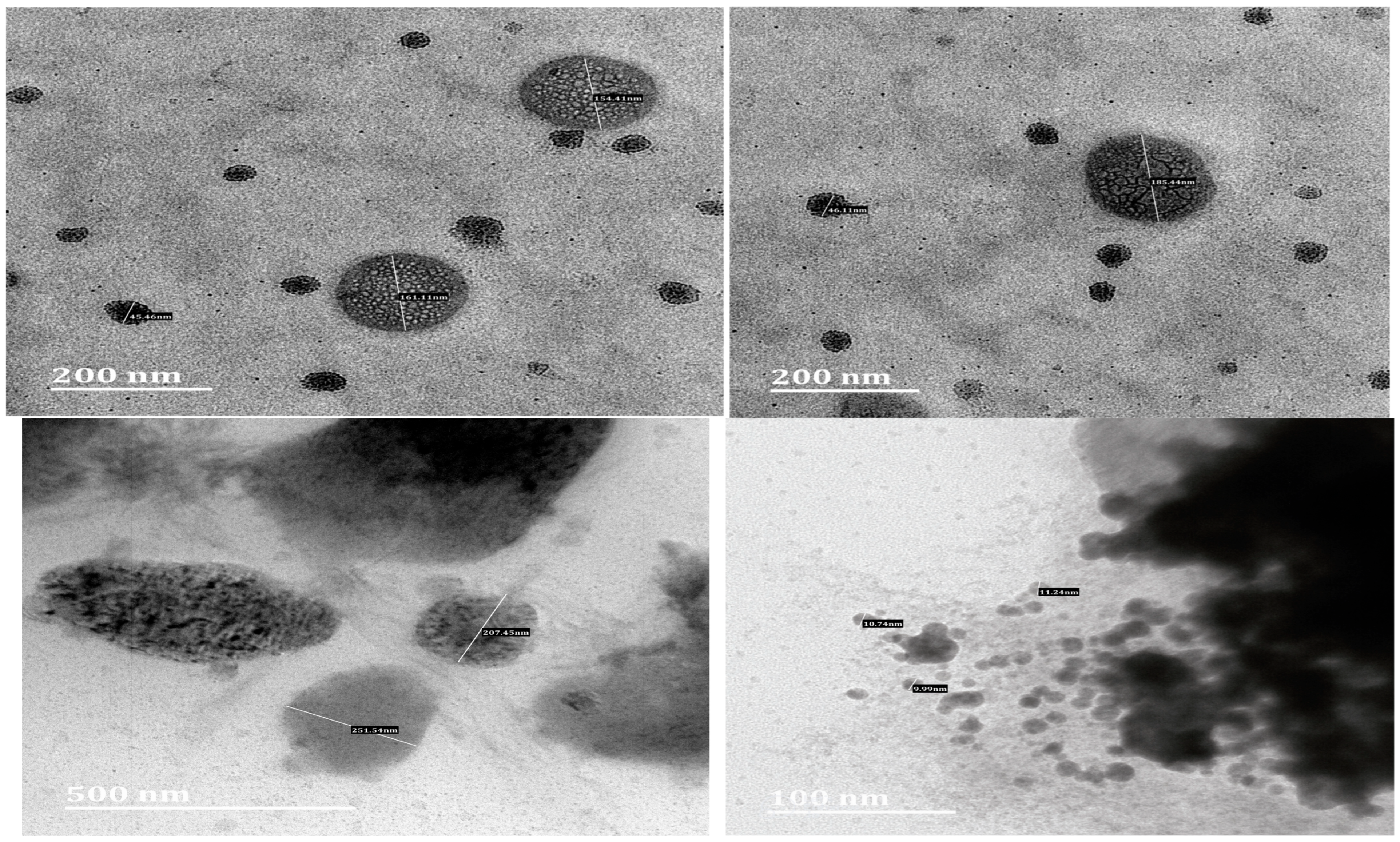 Pharmaceutics 17 00723 g005