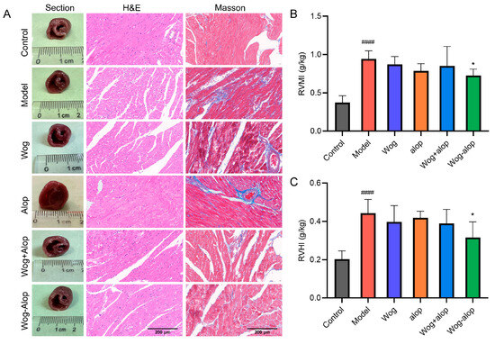 テスト Mechanistic Insight into the Enhanced Anti-Pulmonary