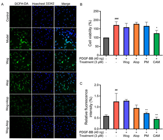 テスト Mechanistic Insight into the Enhanced Anti-Pulmonary