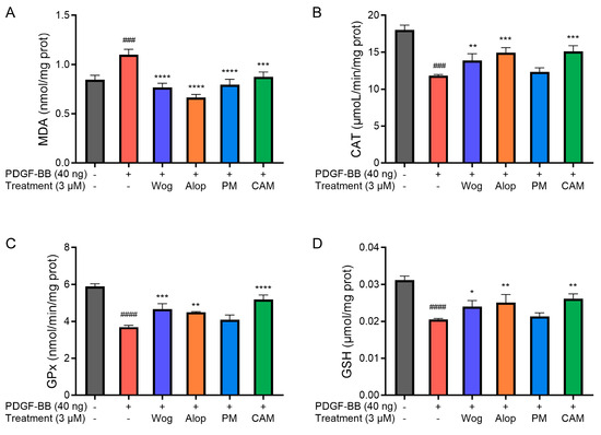 Mechanistic Insight into the Enhanced Anti-Pulmonary