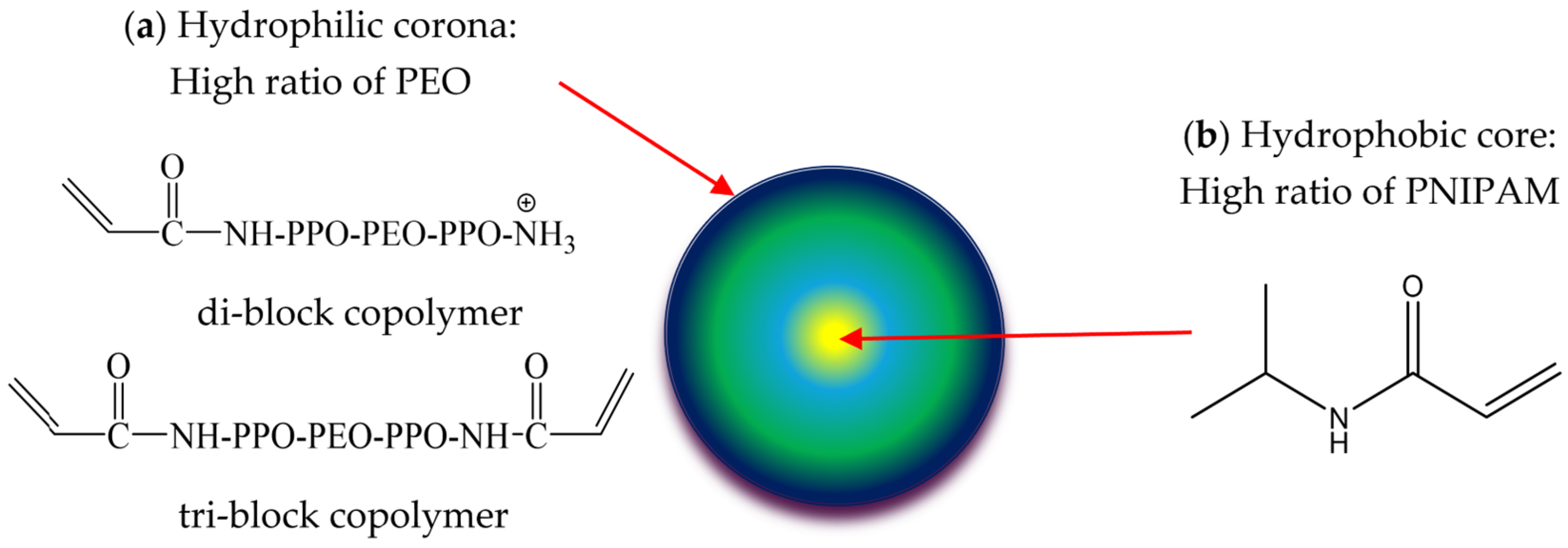 Pharmaceutics 17 00725 g001