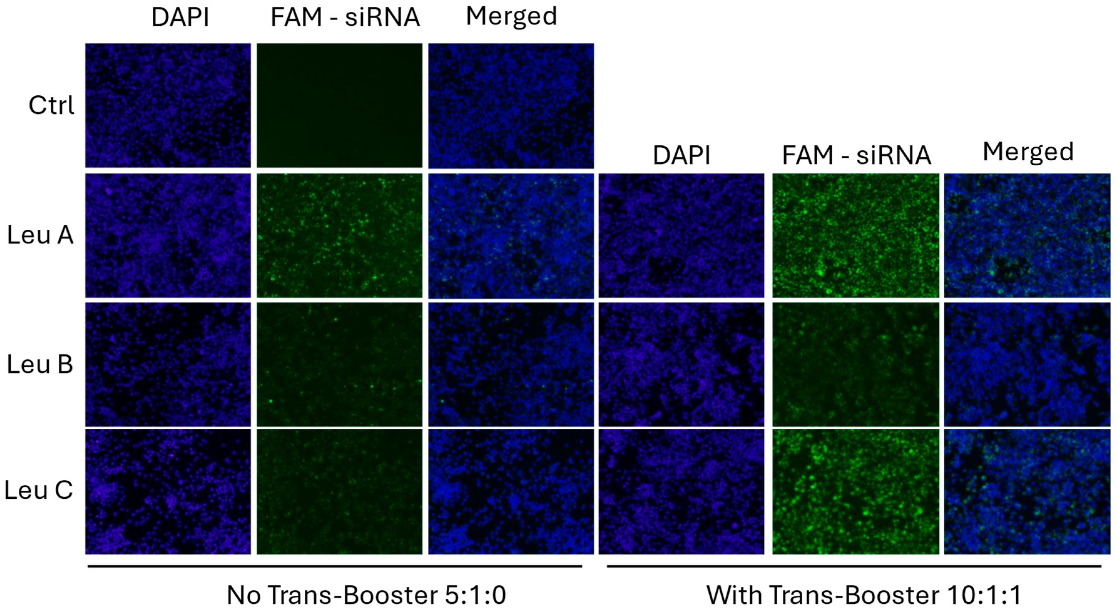 Pharmaceutics 17 00726 g002
