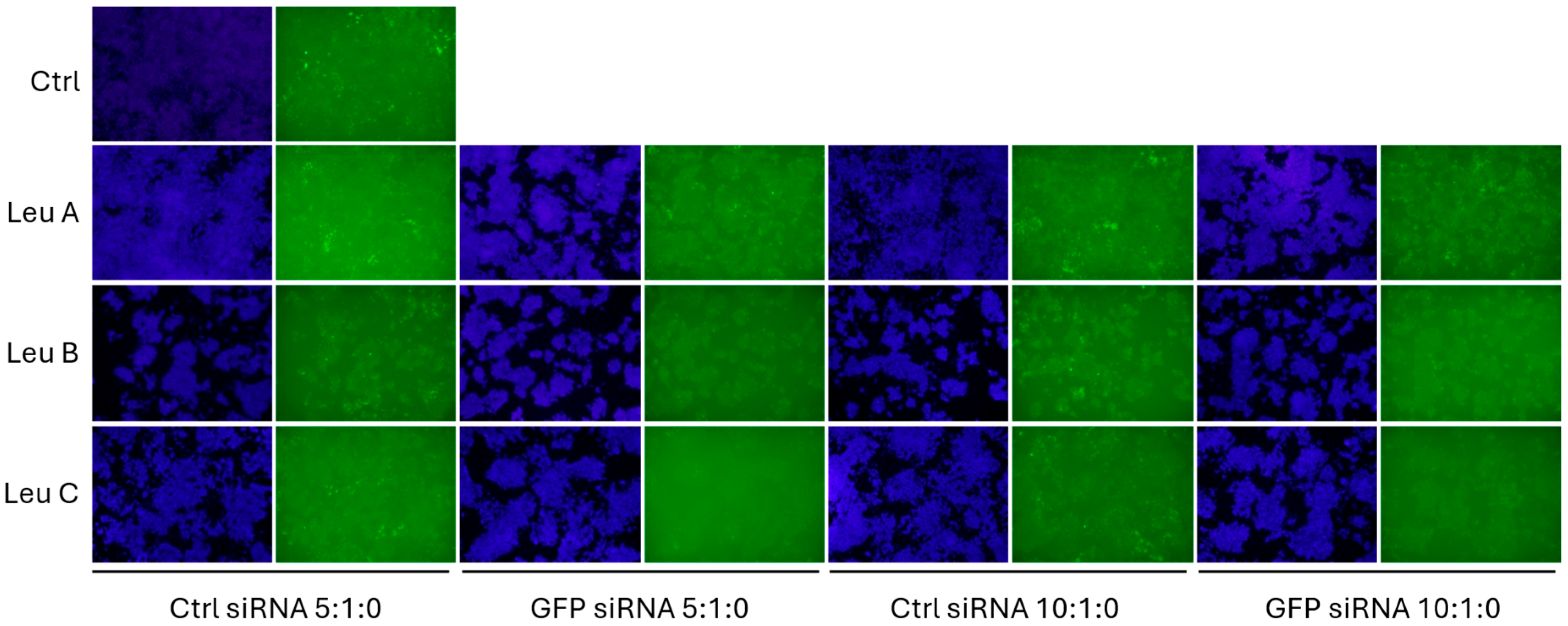 Pharmaceutics 17 00726 g007