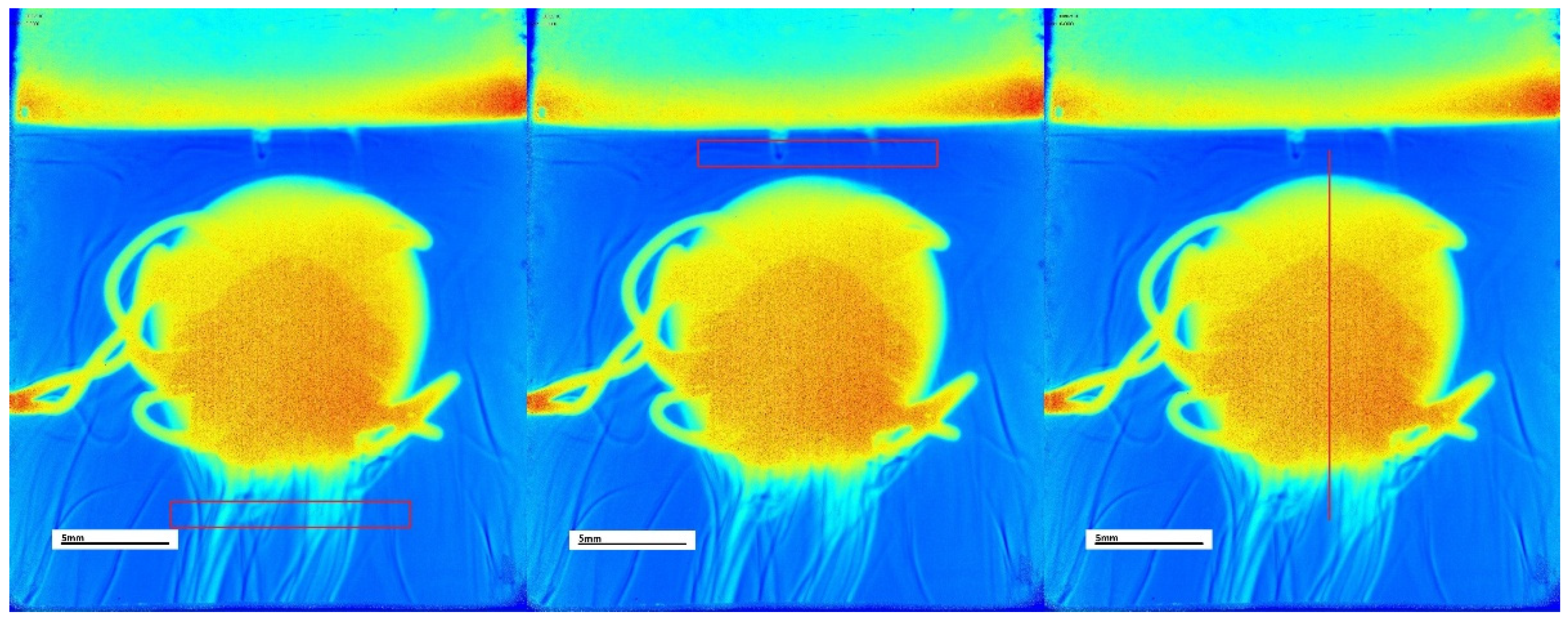 Pharmaceutics 17 00728 g001
