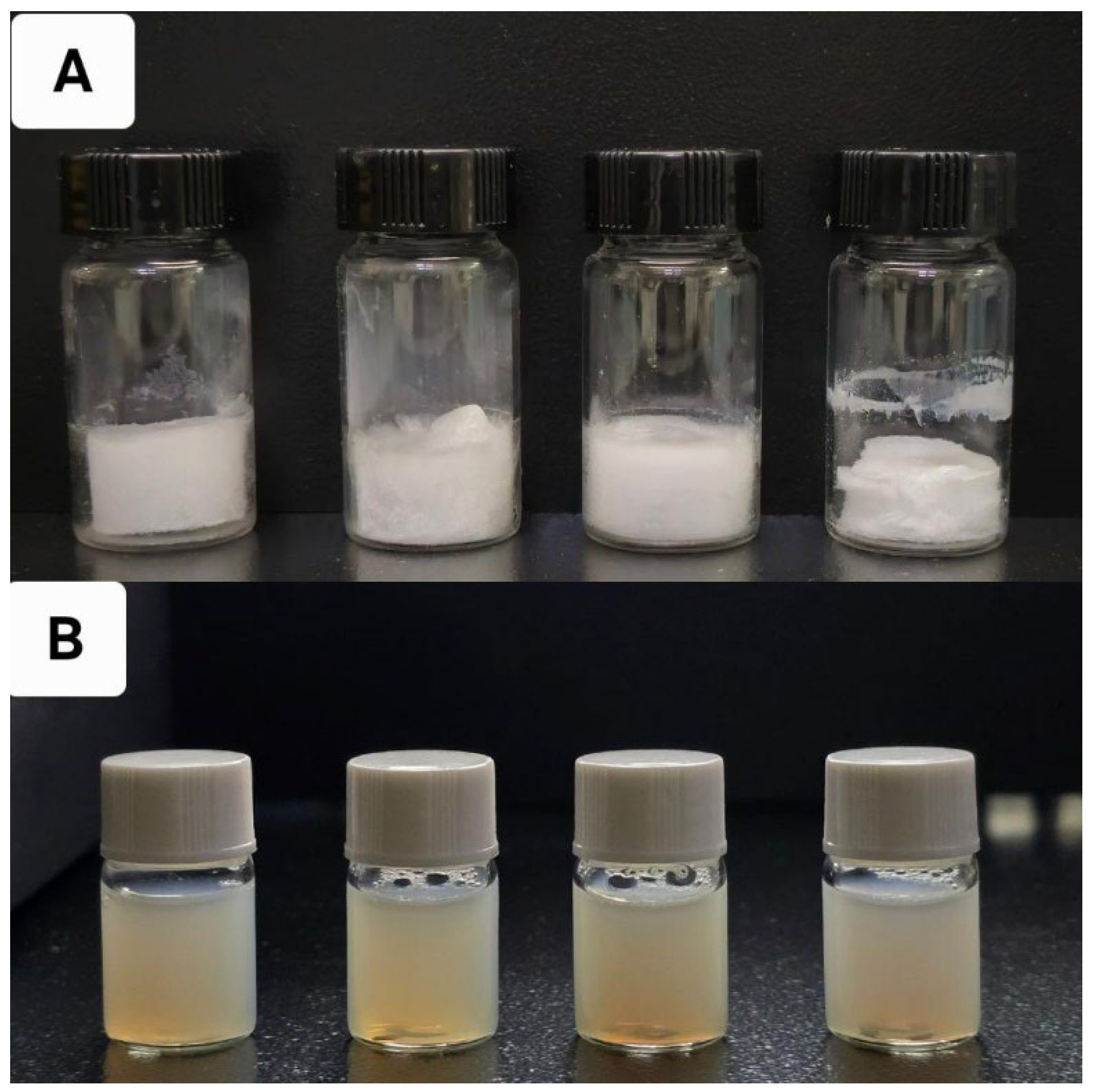 Pharmaceutics 17 00729 g002