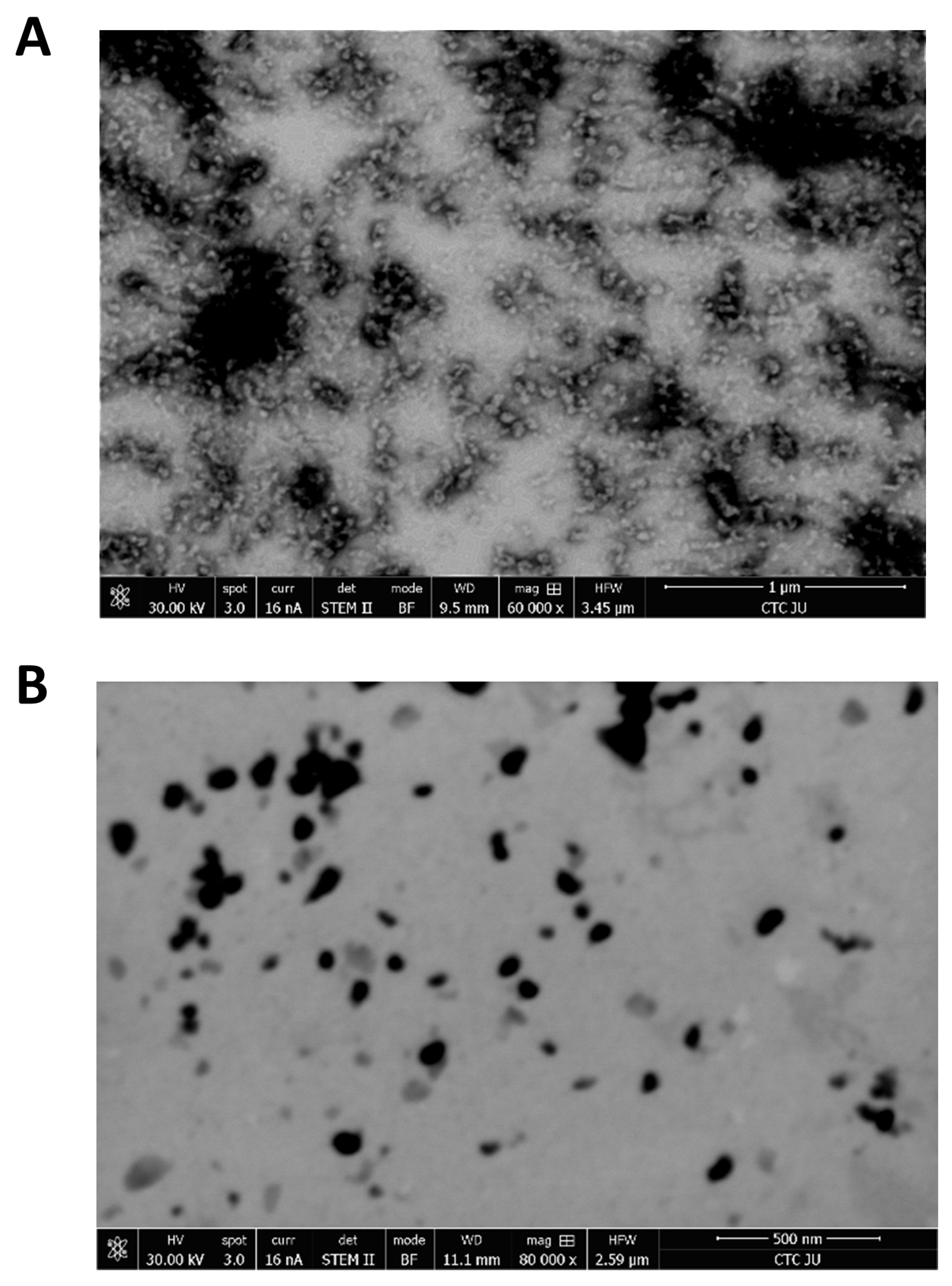 Pharmaceutics 17 00729 g004