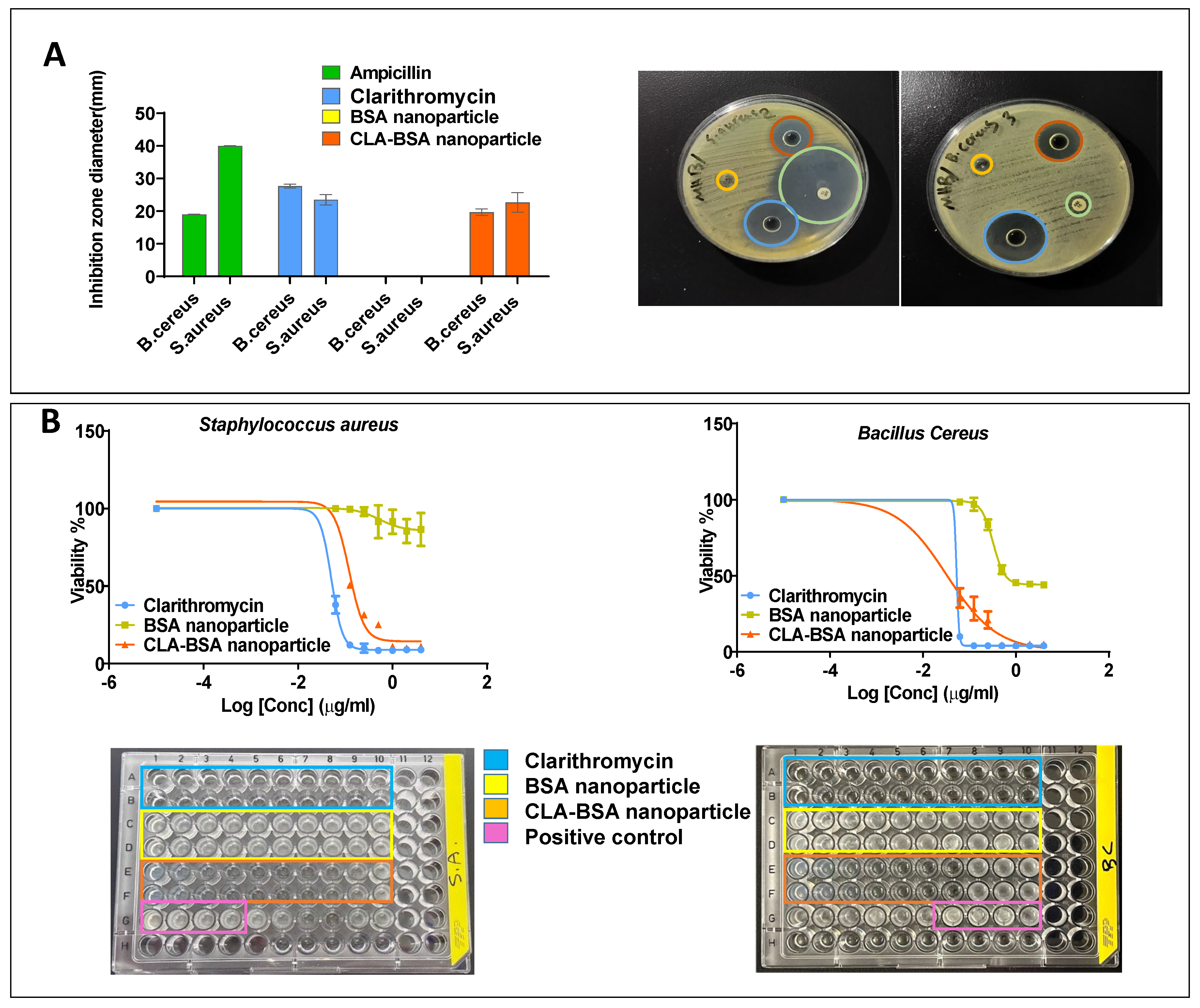 Pharmaceutics 17 00729 g011