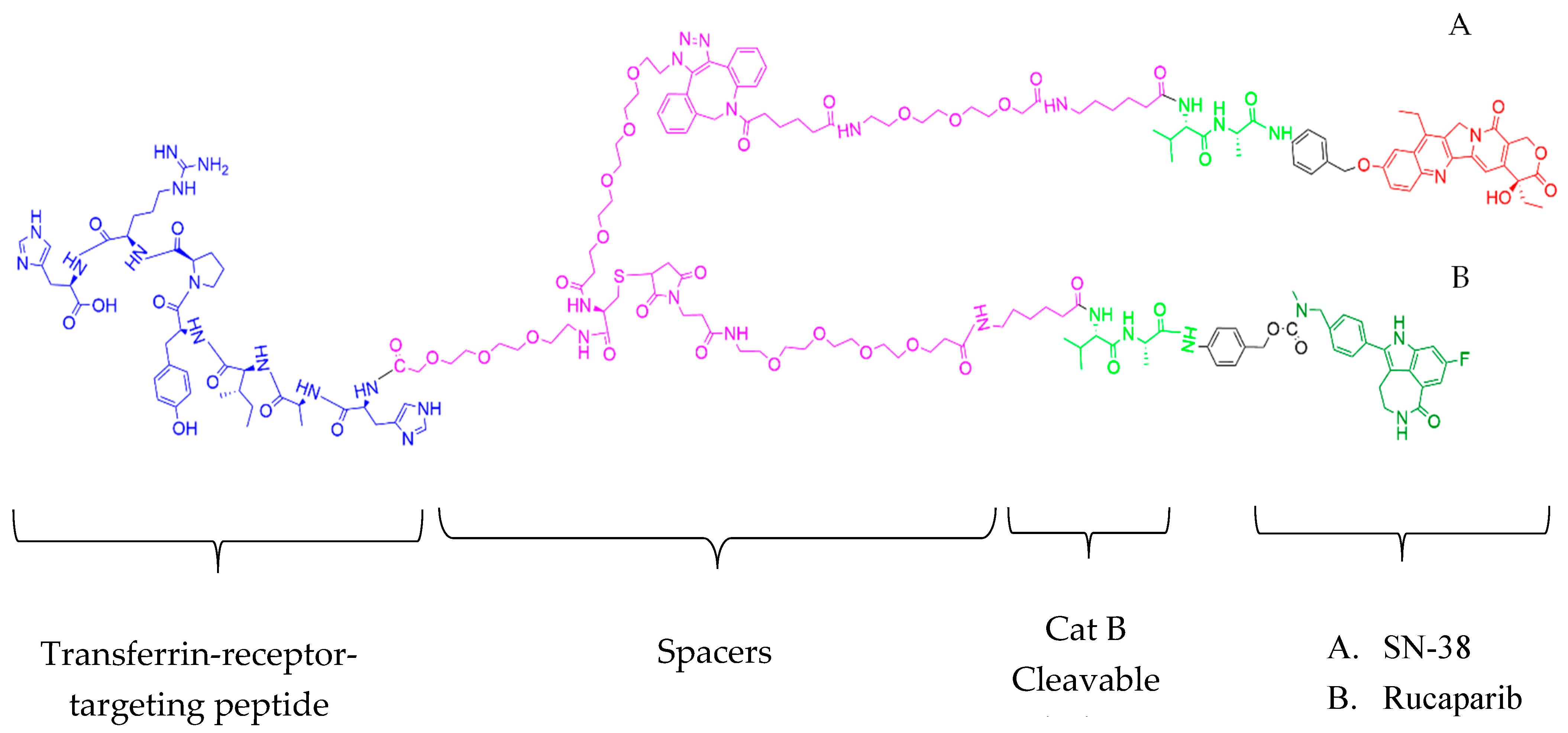 Pharmaceutics 17 00732 g007