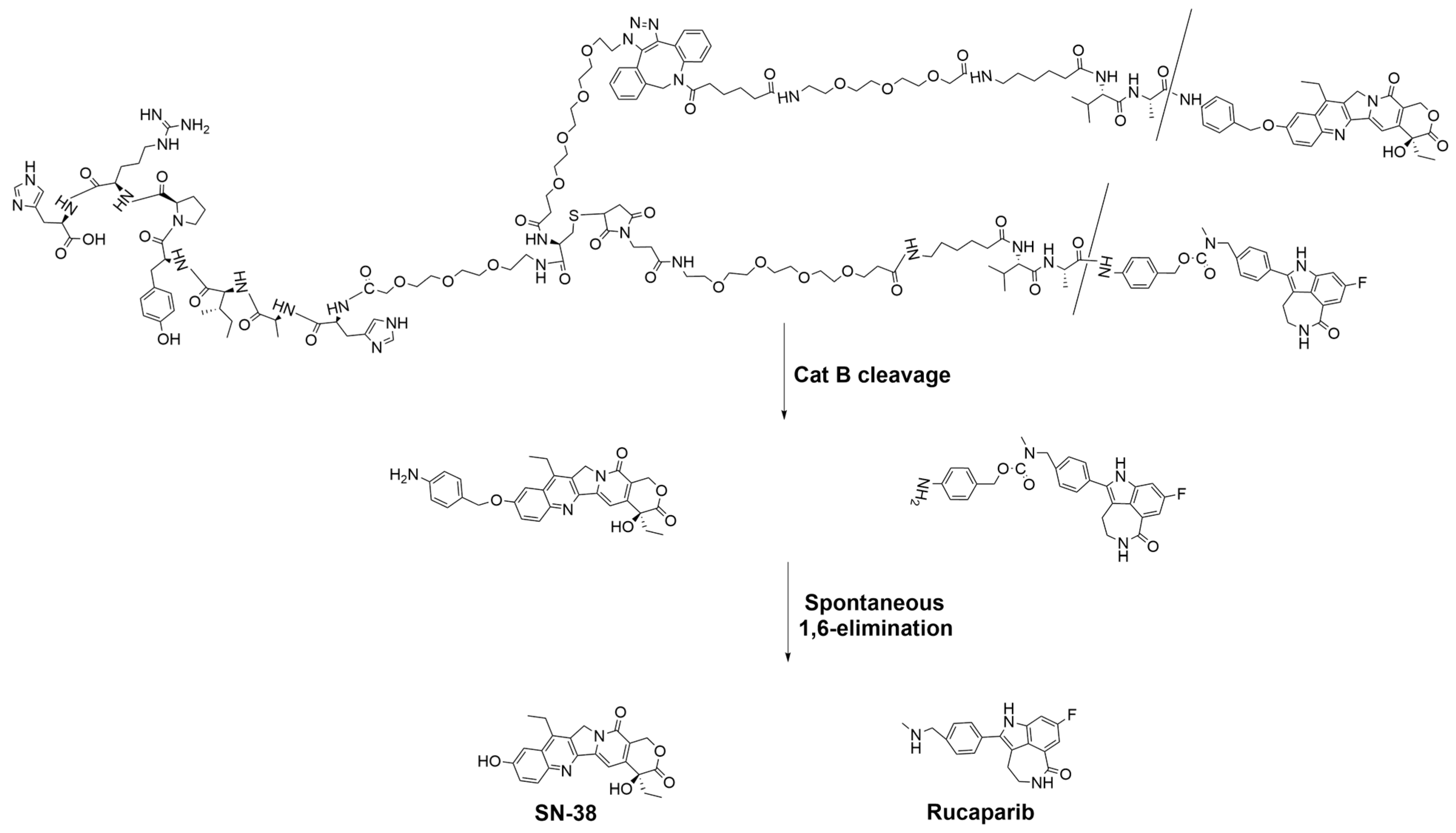 Pharmaceutics 17 00732 g008