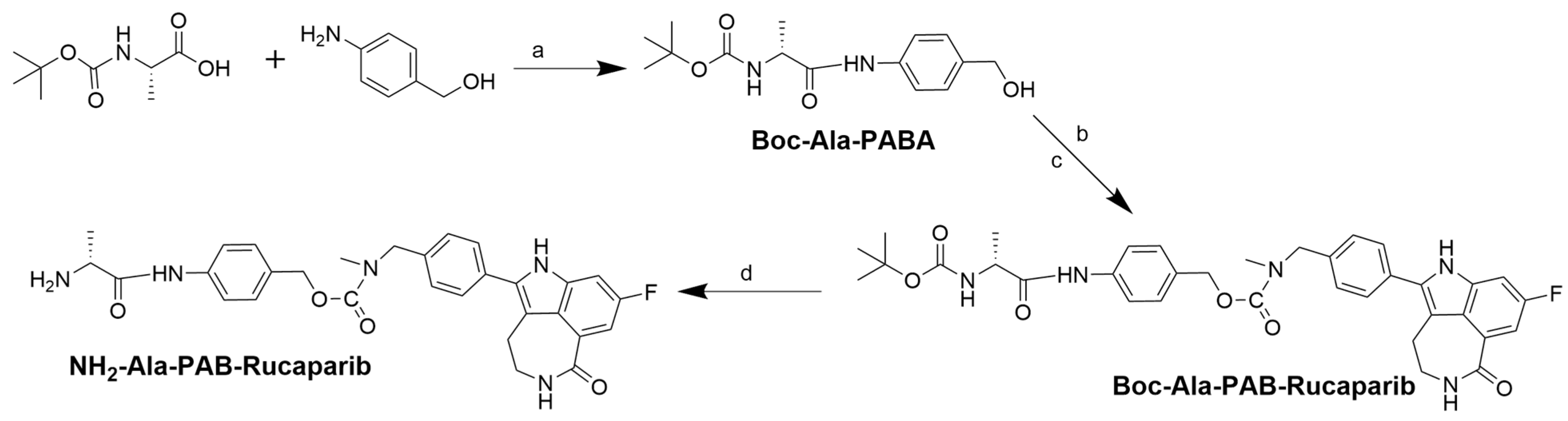Pharmaceutics 17 00732 sch001