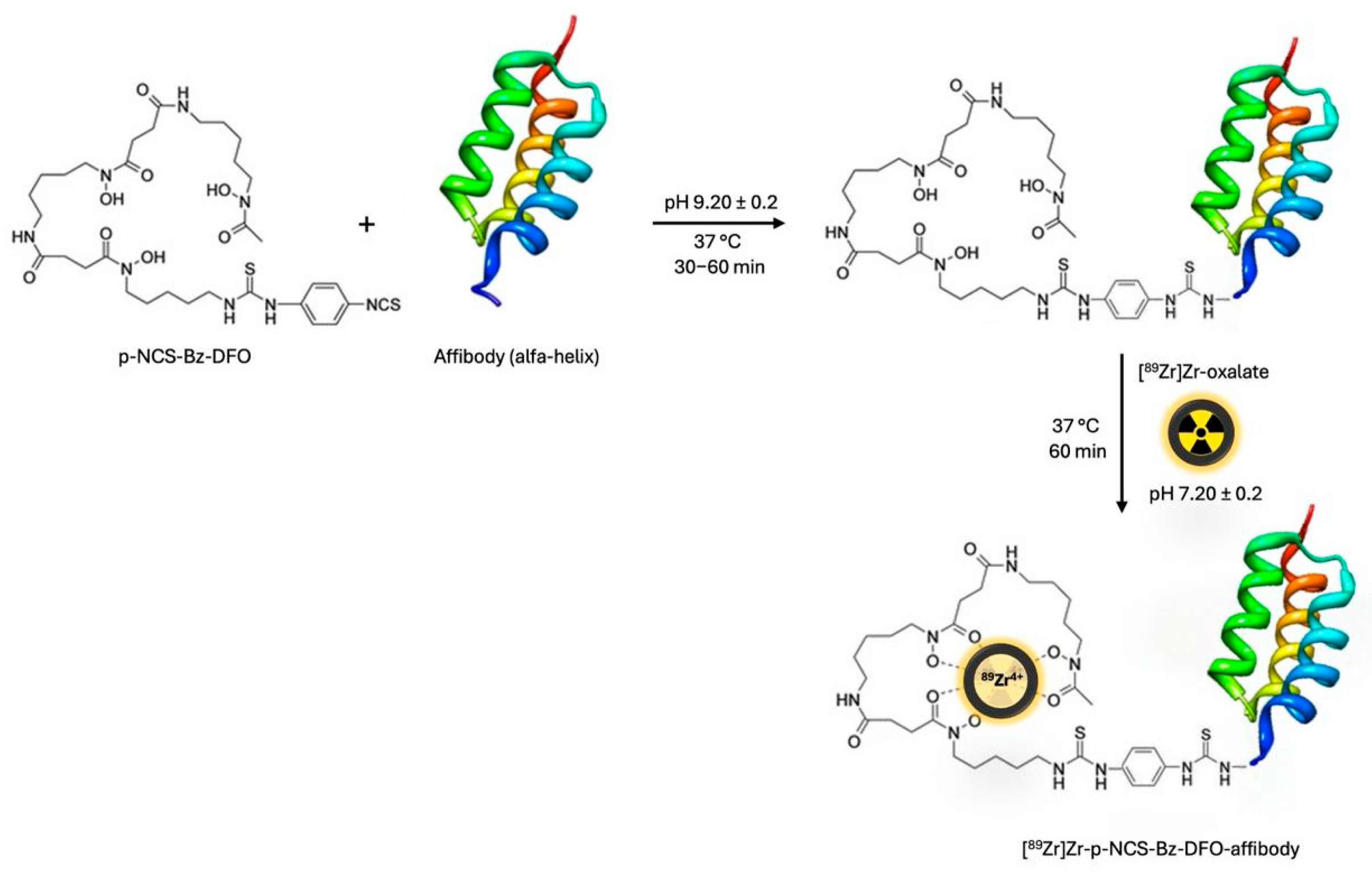 Pharmaceutics 17 00739 g005