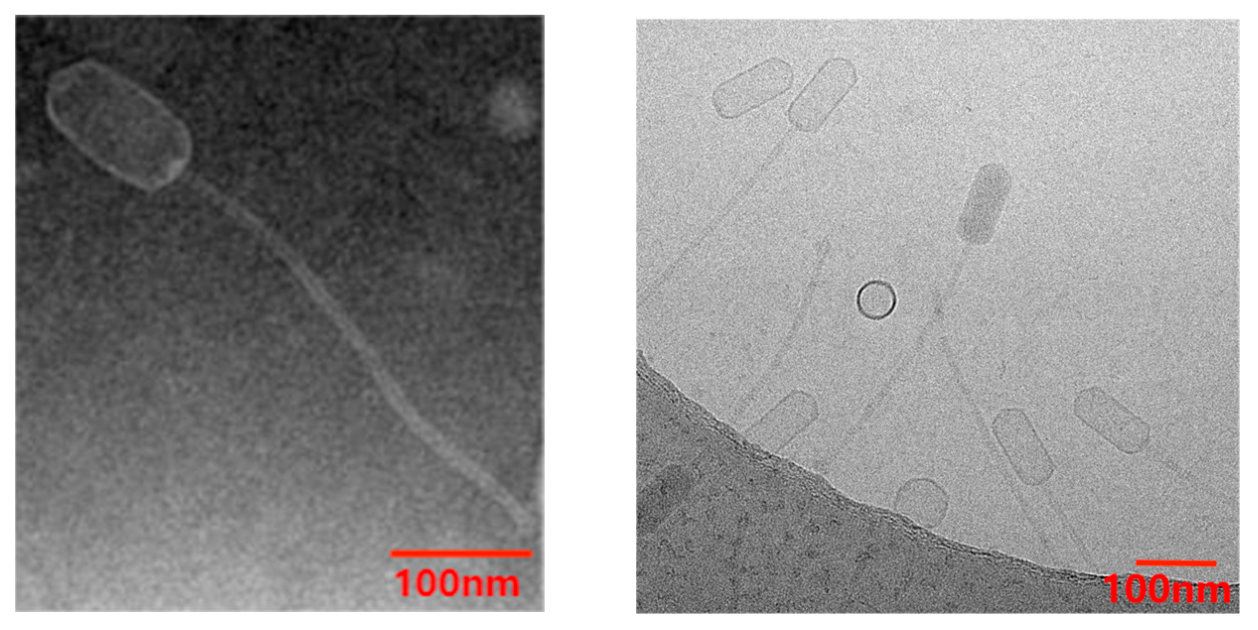 Pharmaceutics 17 00743 g002
