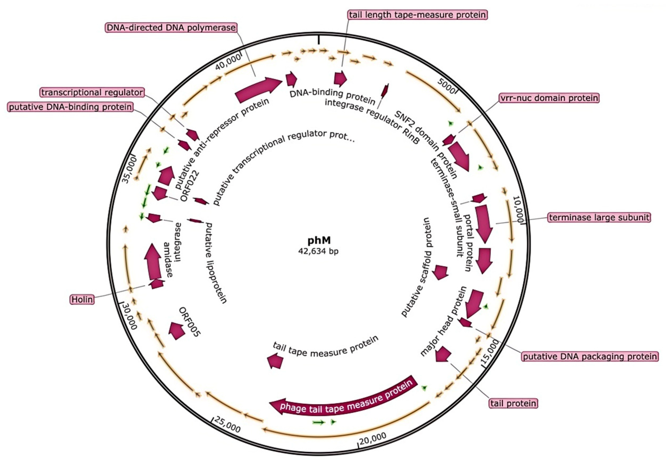 Pharmaceutics 17 00743 g004