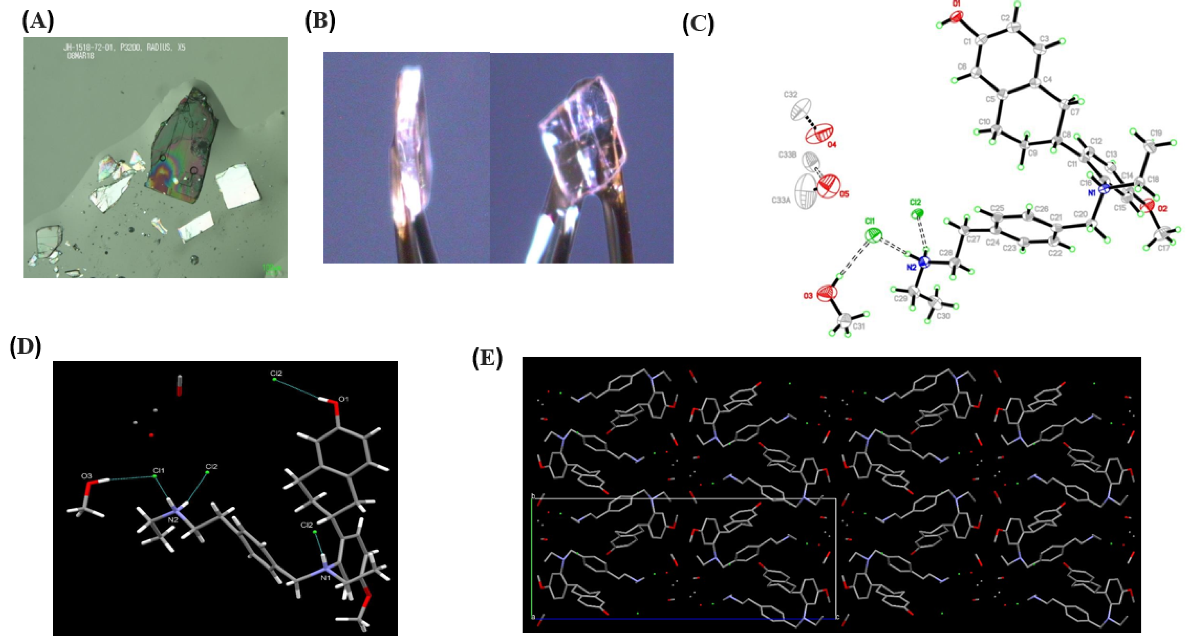 Pharmaceutics 17 00745 g003