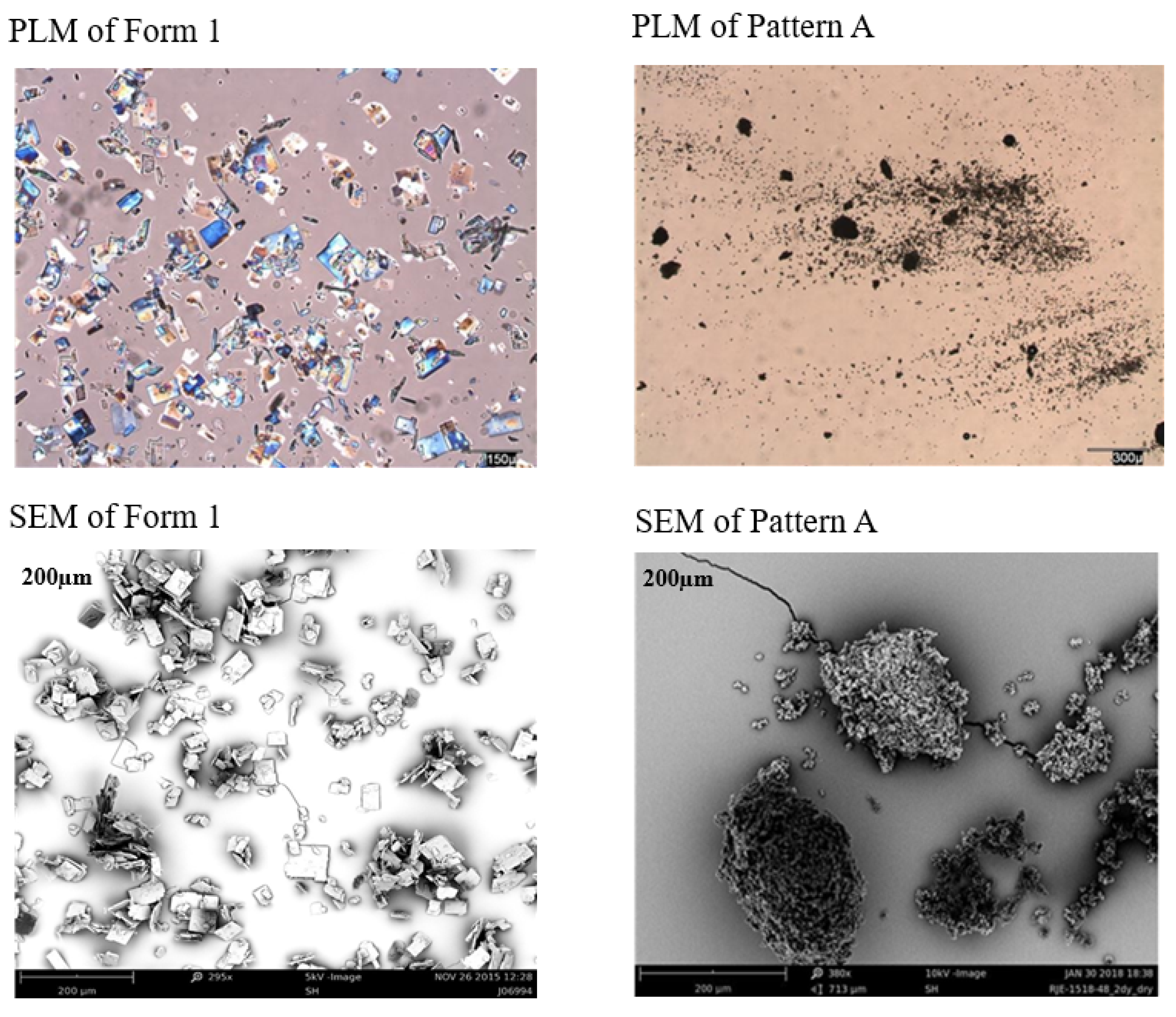 Pharmaceutics 17 00745 g006