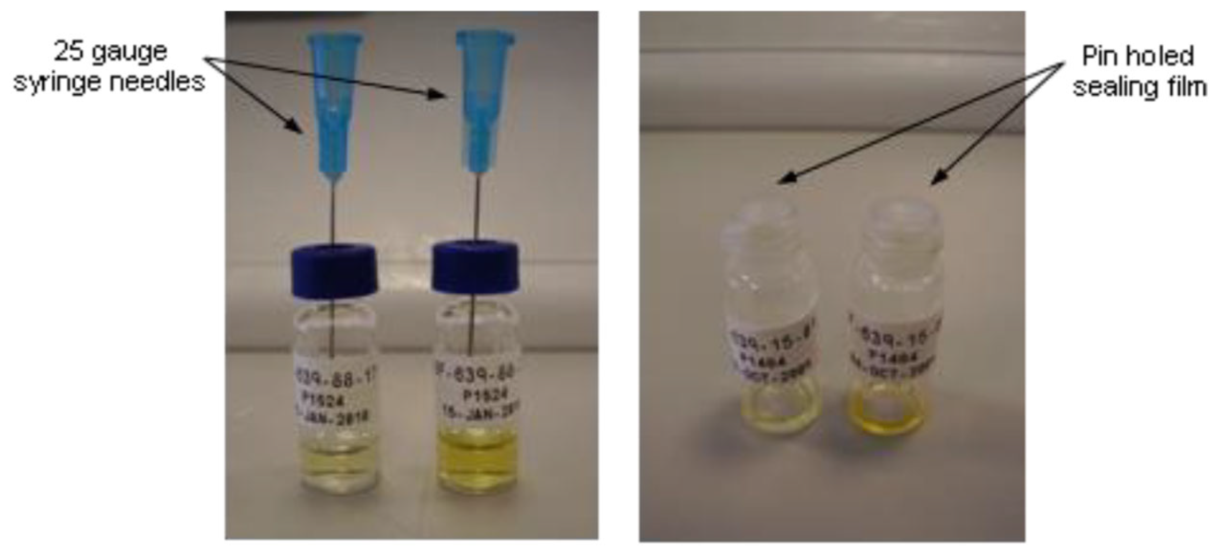 Pharmaceutics 17 00745 sch001