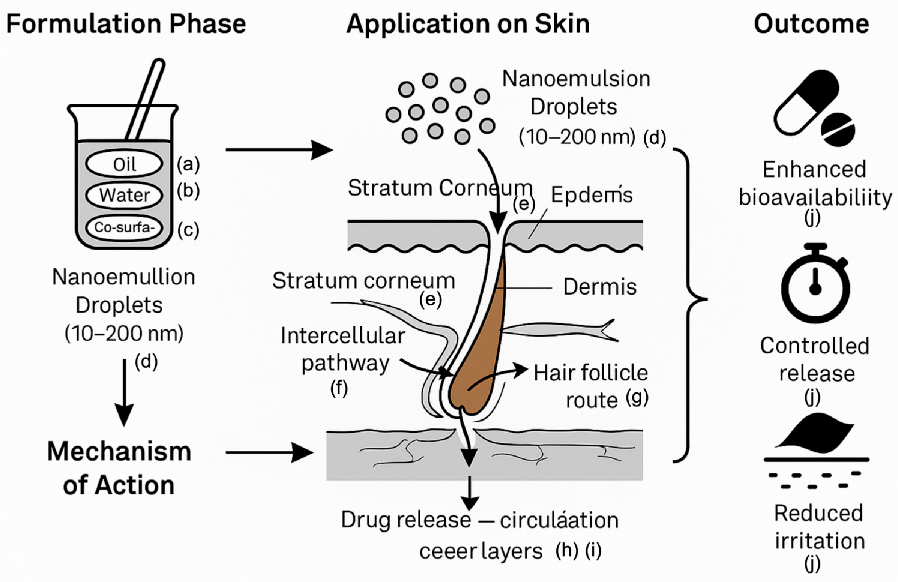 Pharmaceutics 17 00746 g002