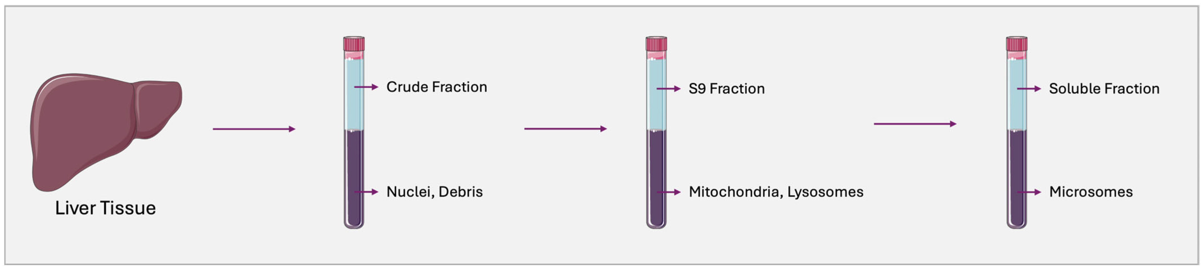 Pharmaceutics 17 00747 g001