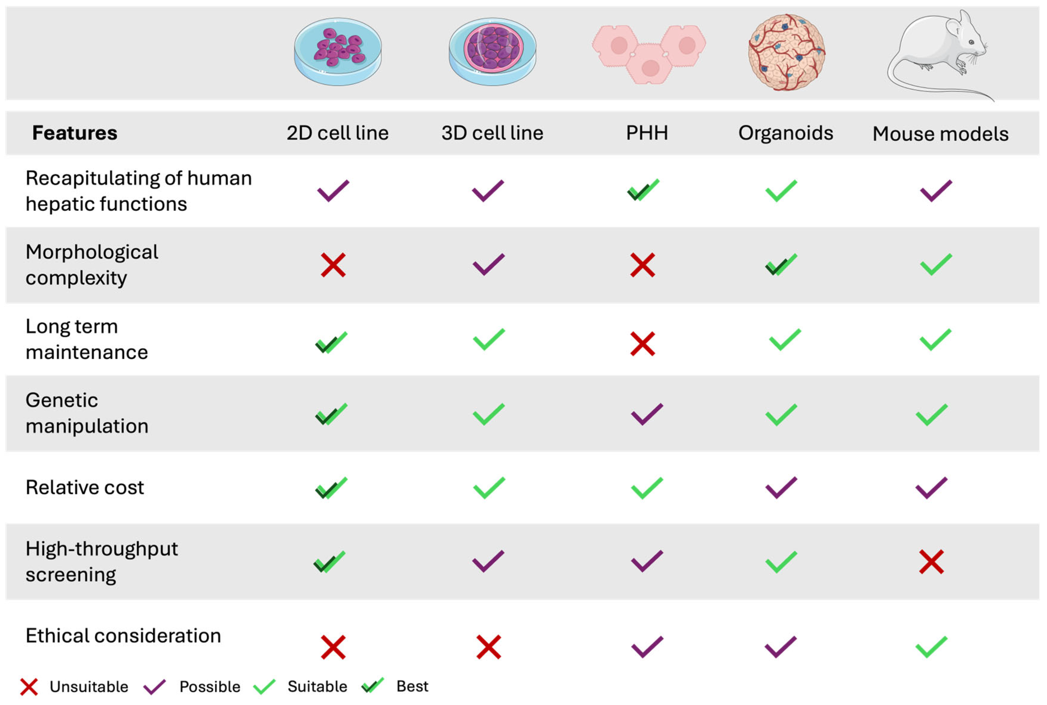Understanding Hezis Efficacy and Functions (A quick and easy guide to its powerful uses)