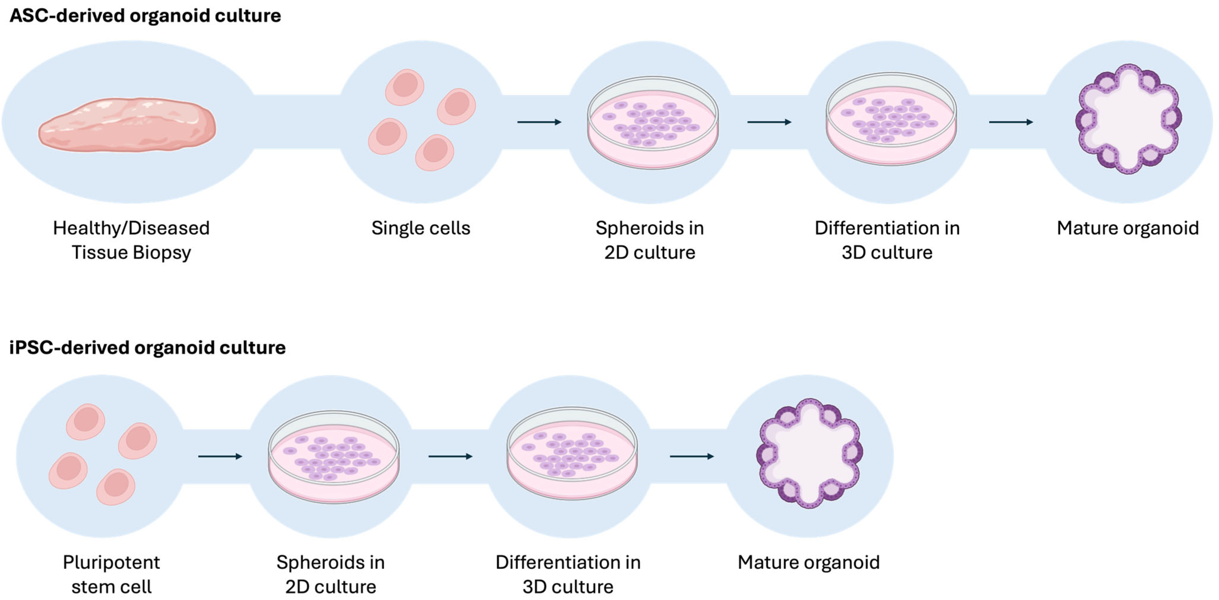 Pharmaceutics 17 00747 g003