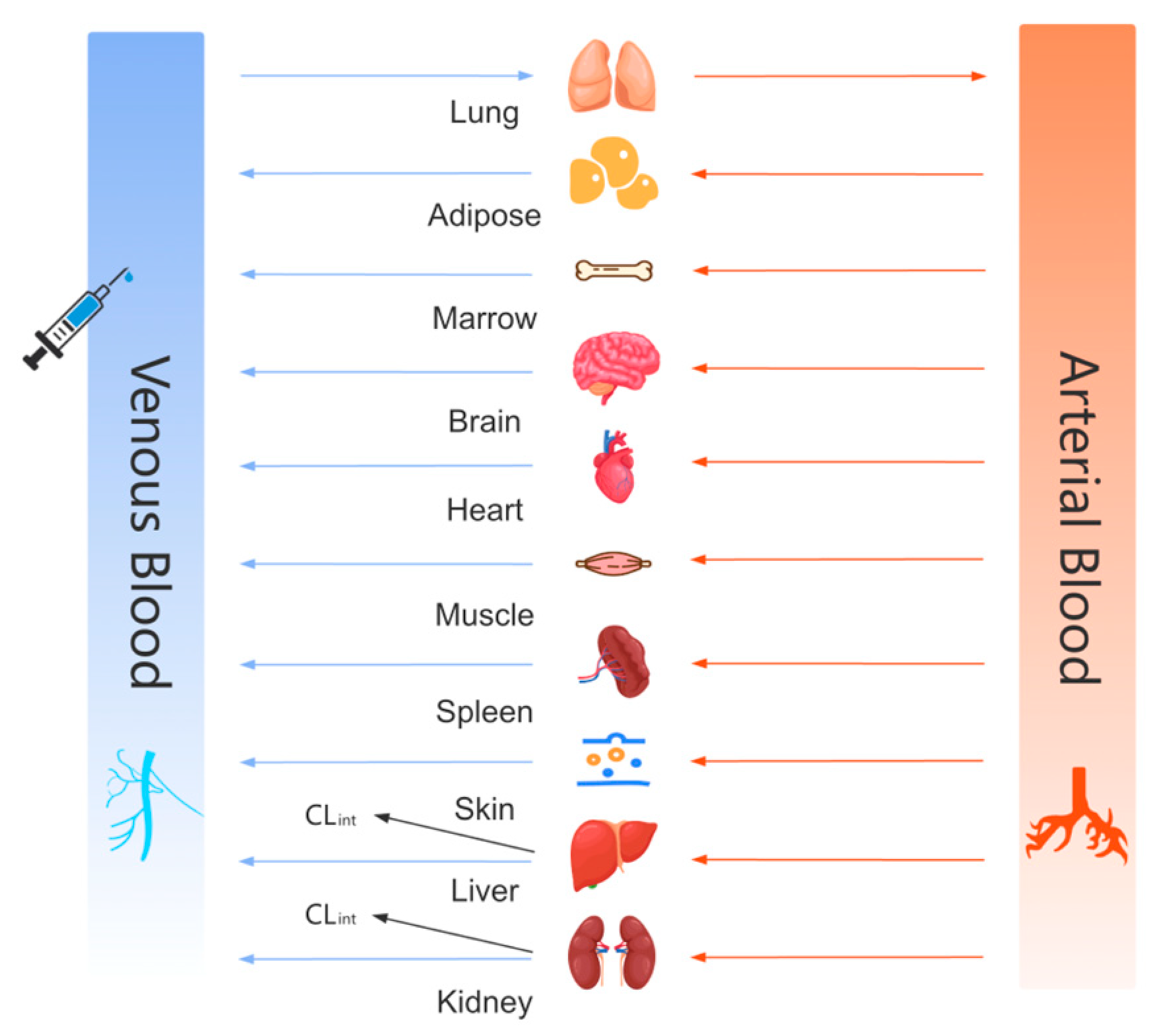 Pharmaceutics 17 00748 g001