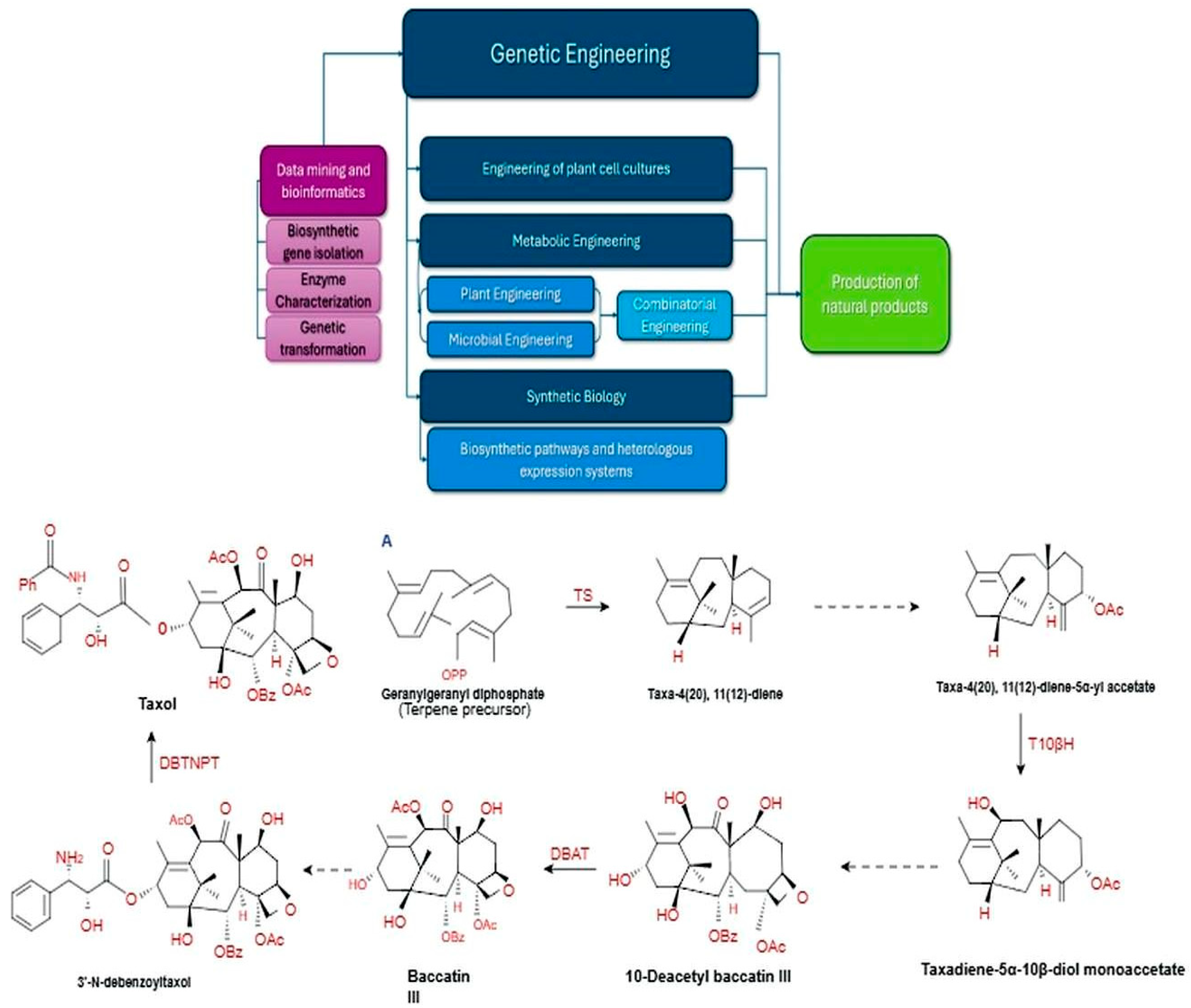 Pharmaceutics 17 00754 g001 Pharmaceutics 17 00754 g001