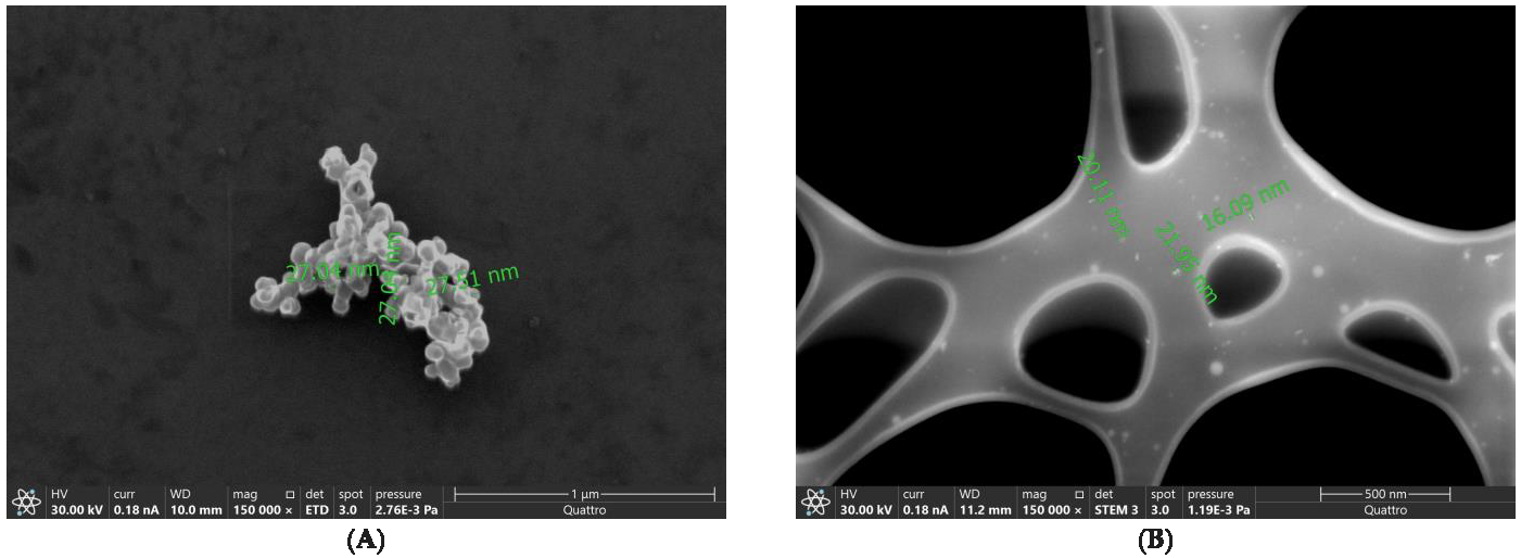 Pharmaceutics 17 00755 g001