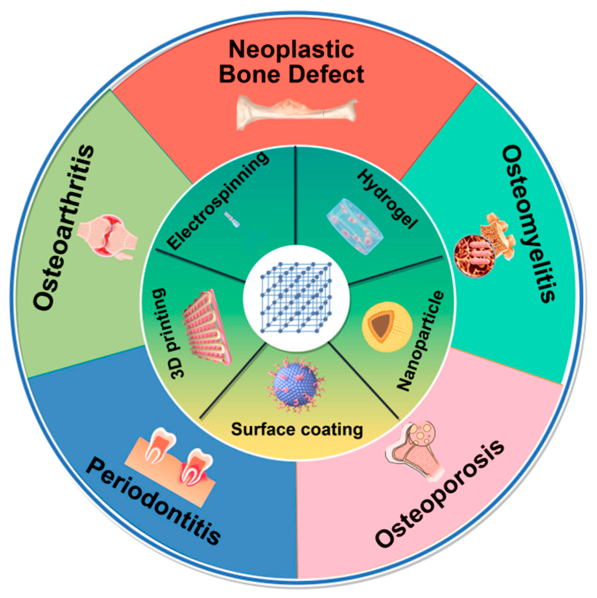 Pharmaceutics 17 00757 g002