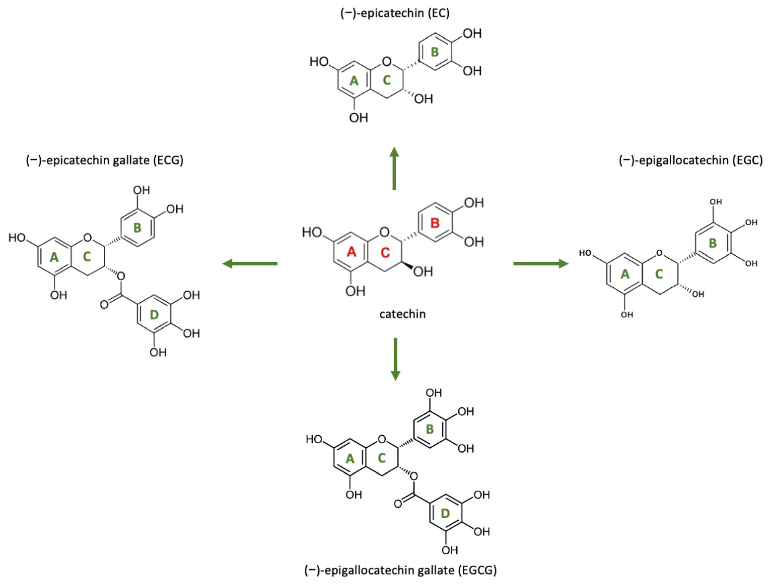 Pharmaceutics 17 00758 g007