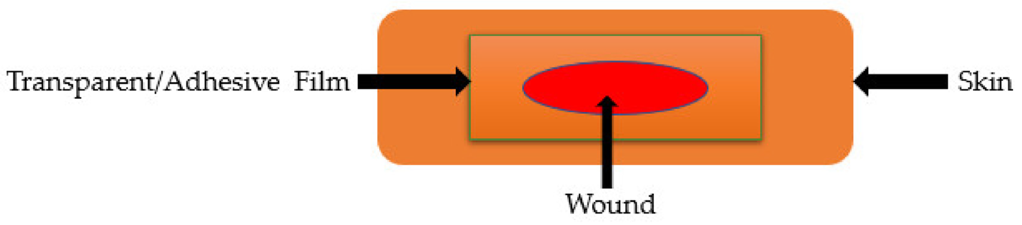 Pharmaceutics 17 00758 g008