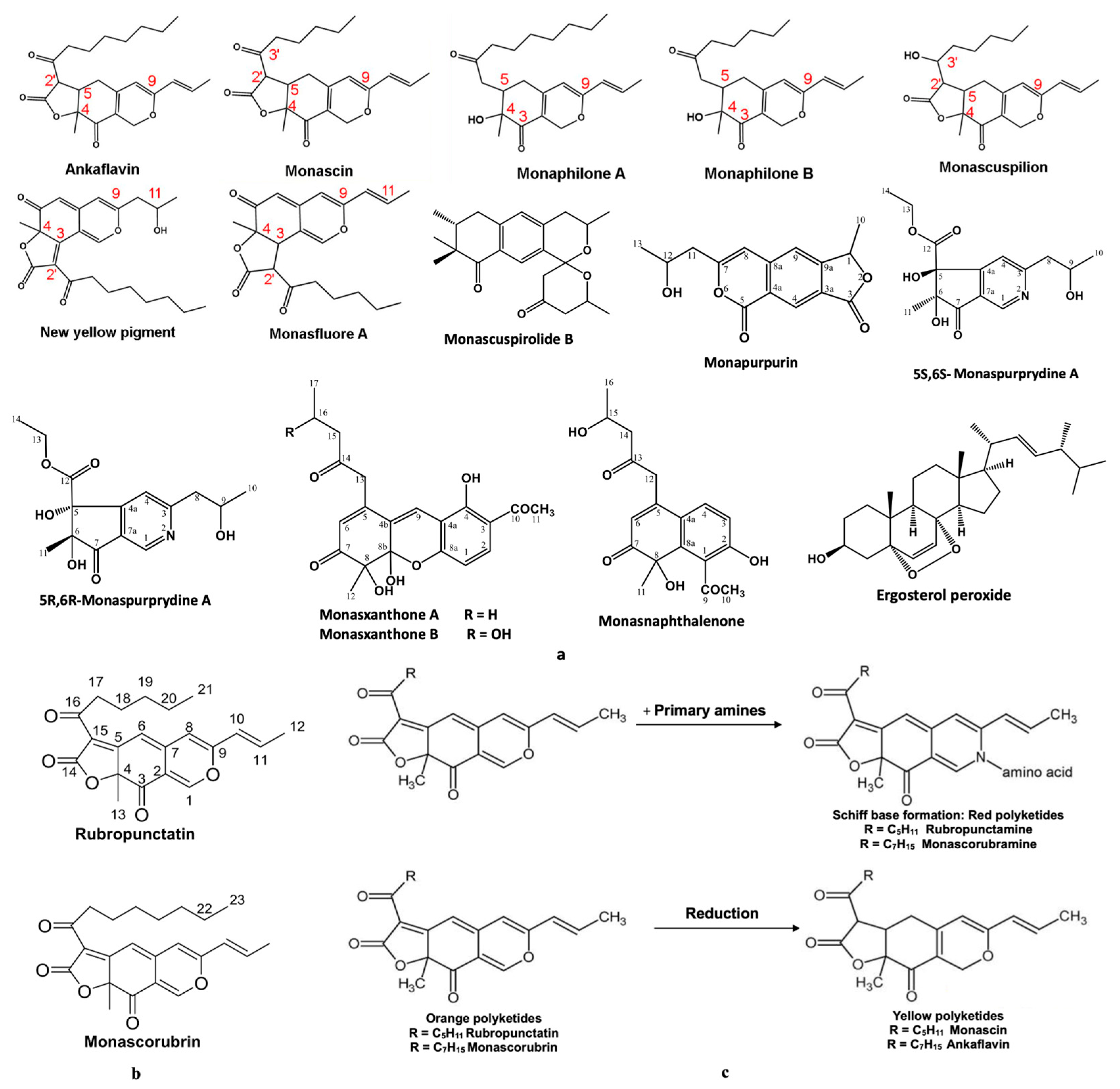 Pharmaceutics 17 00759 g004 Pharmaceutics 17 00759 g004