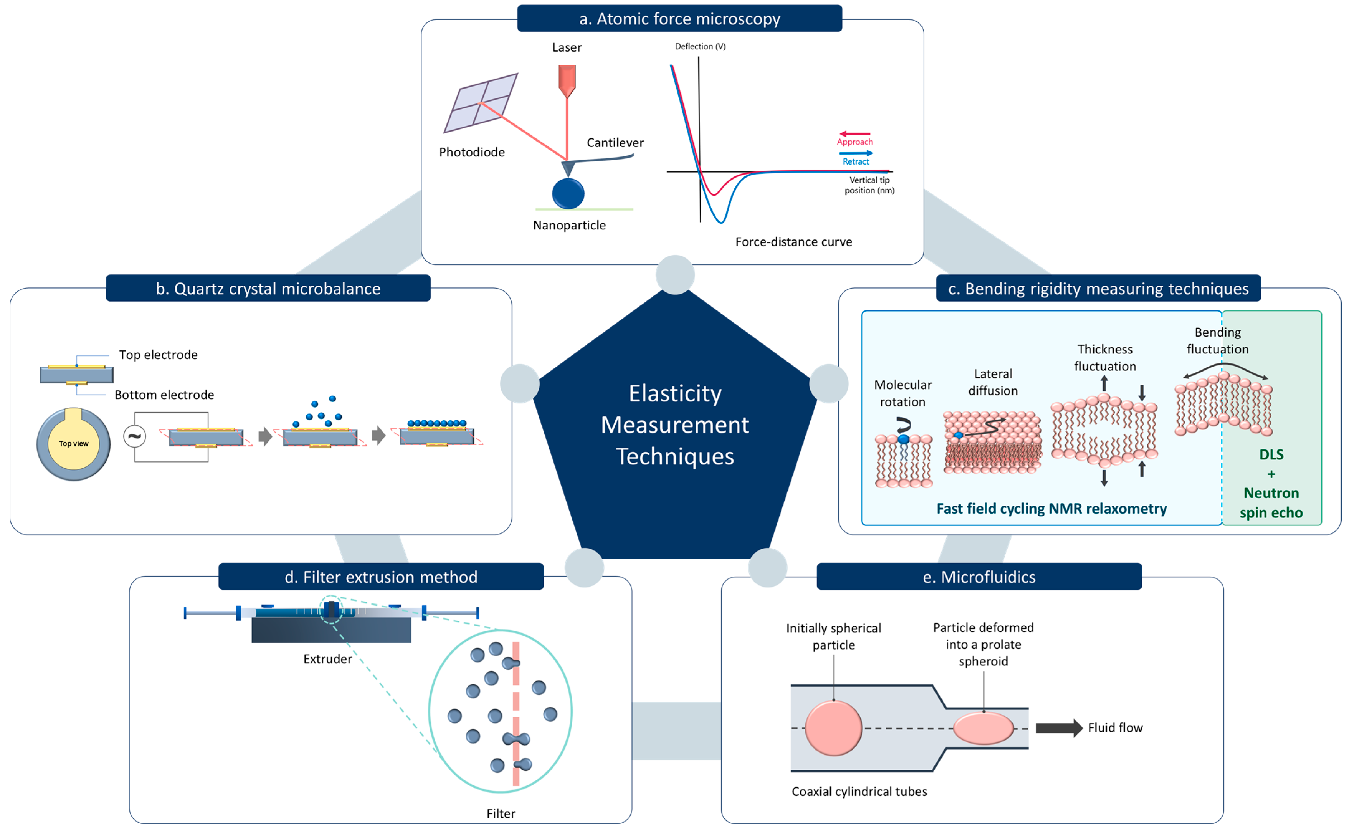 Pharmaceutics 17 00760 g002