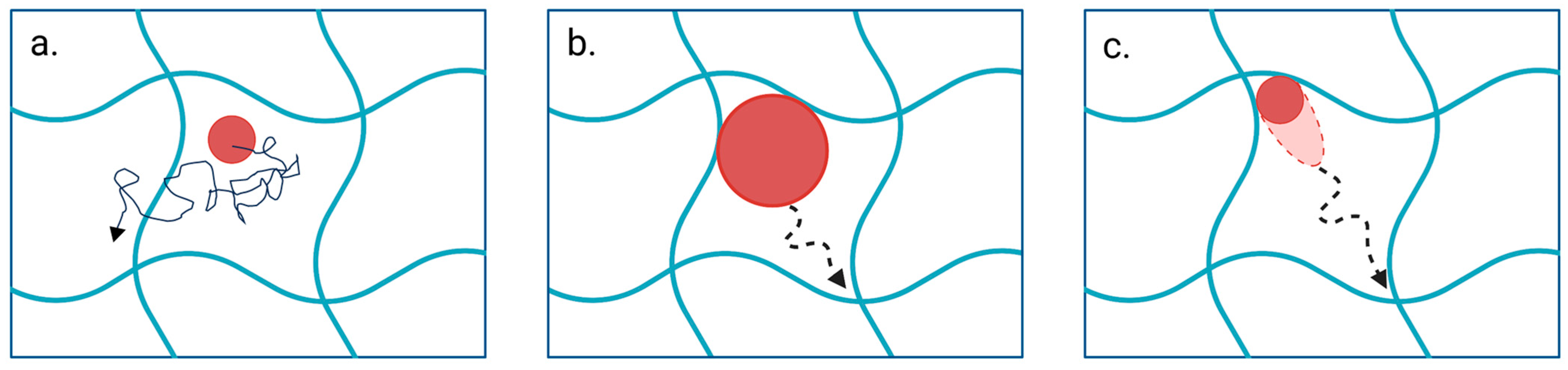 Pharmaceutics 17 00760 g003