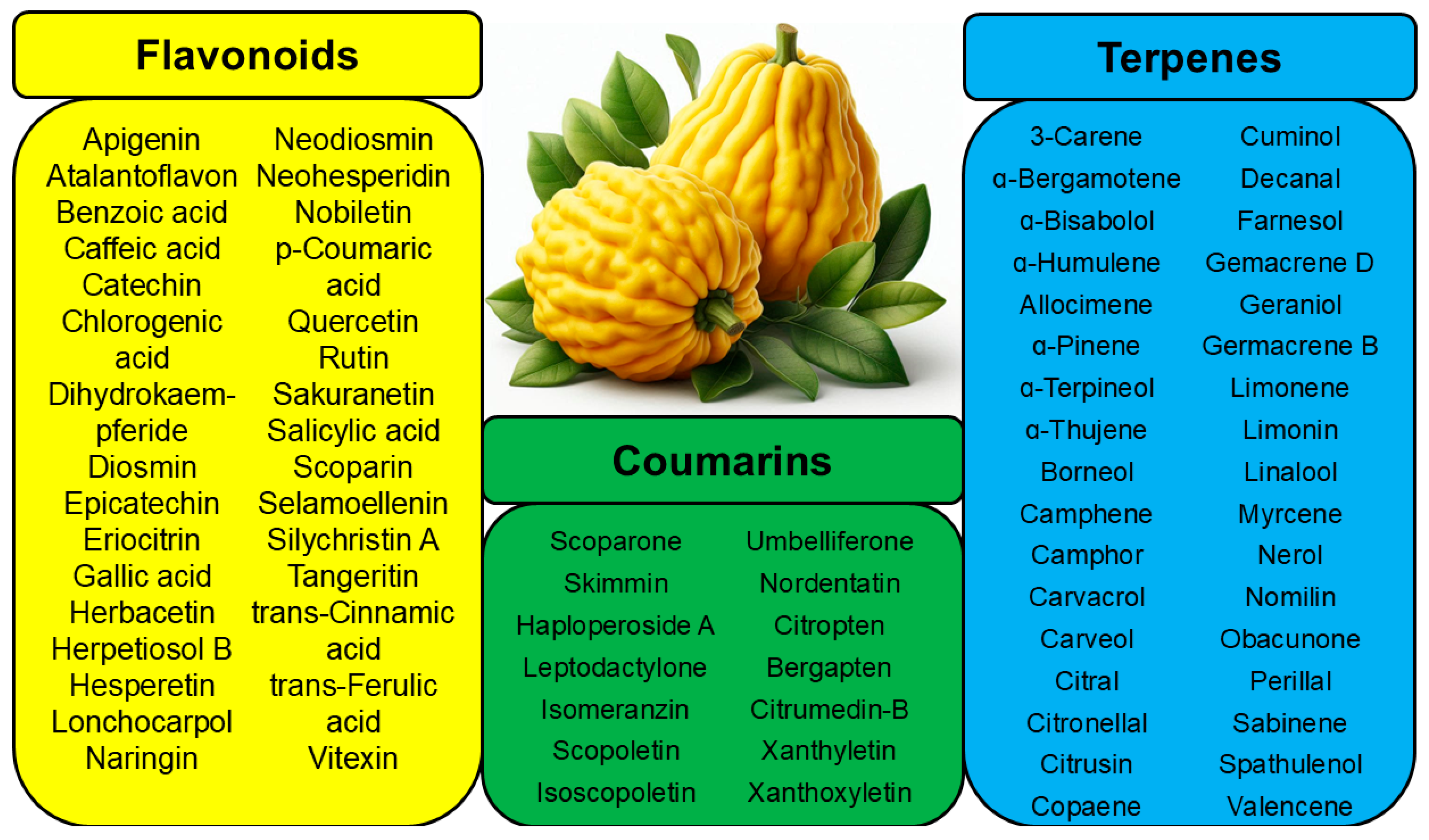 Pharmaceutics 17 00761 g001