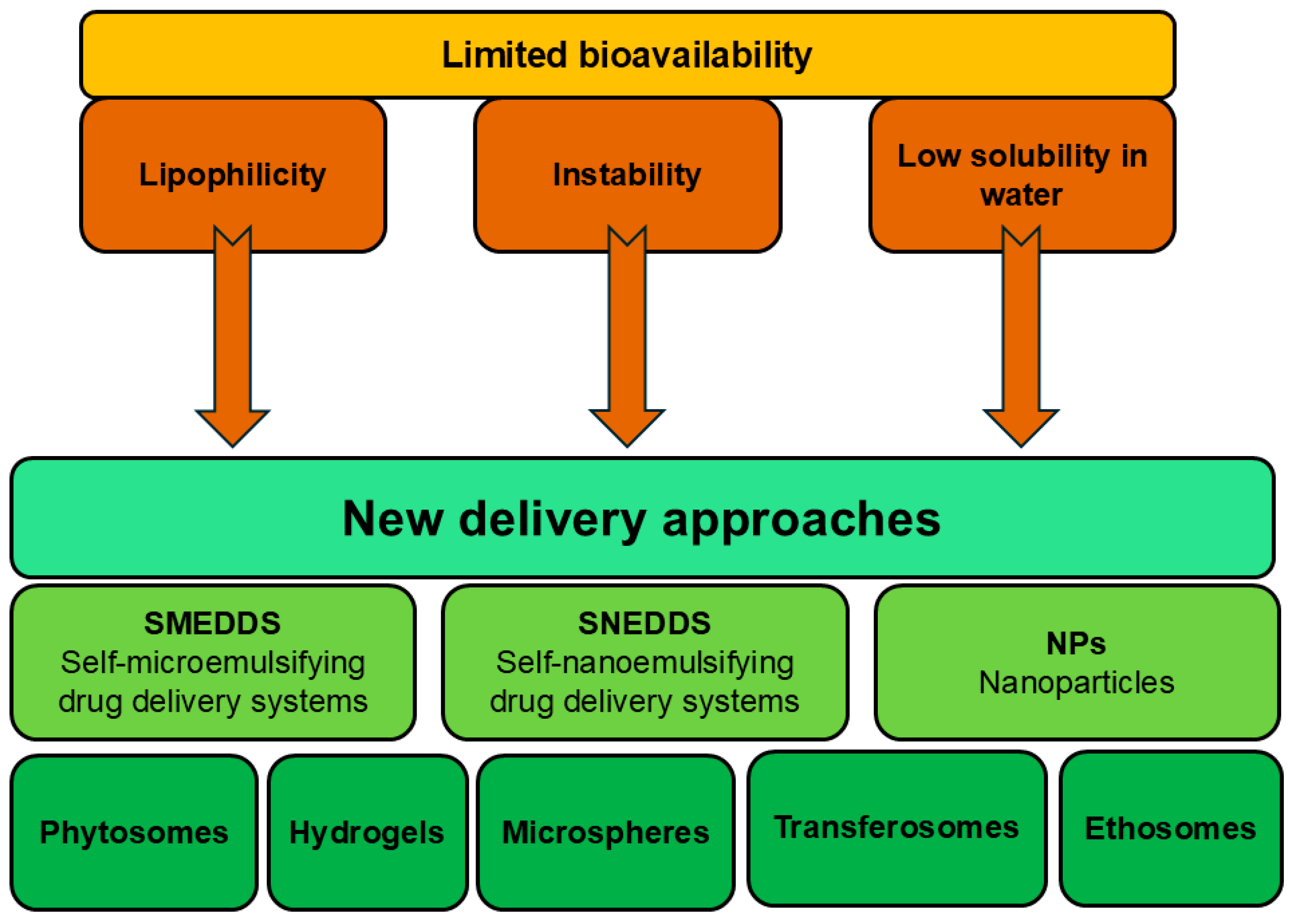 Pharmaceutics 17 00761 g002
